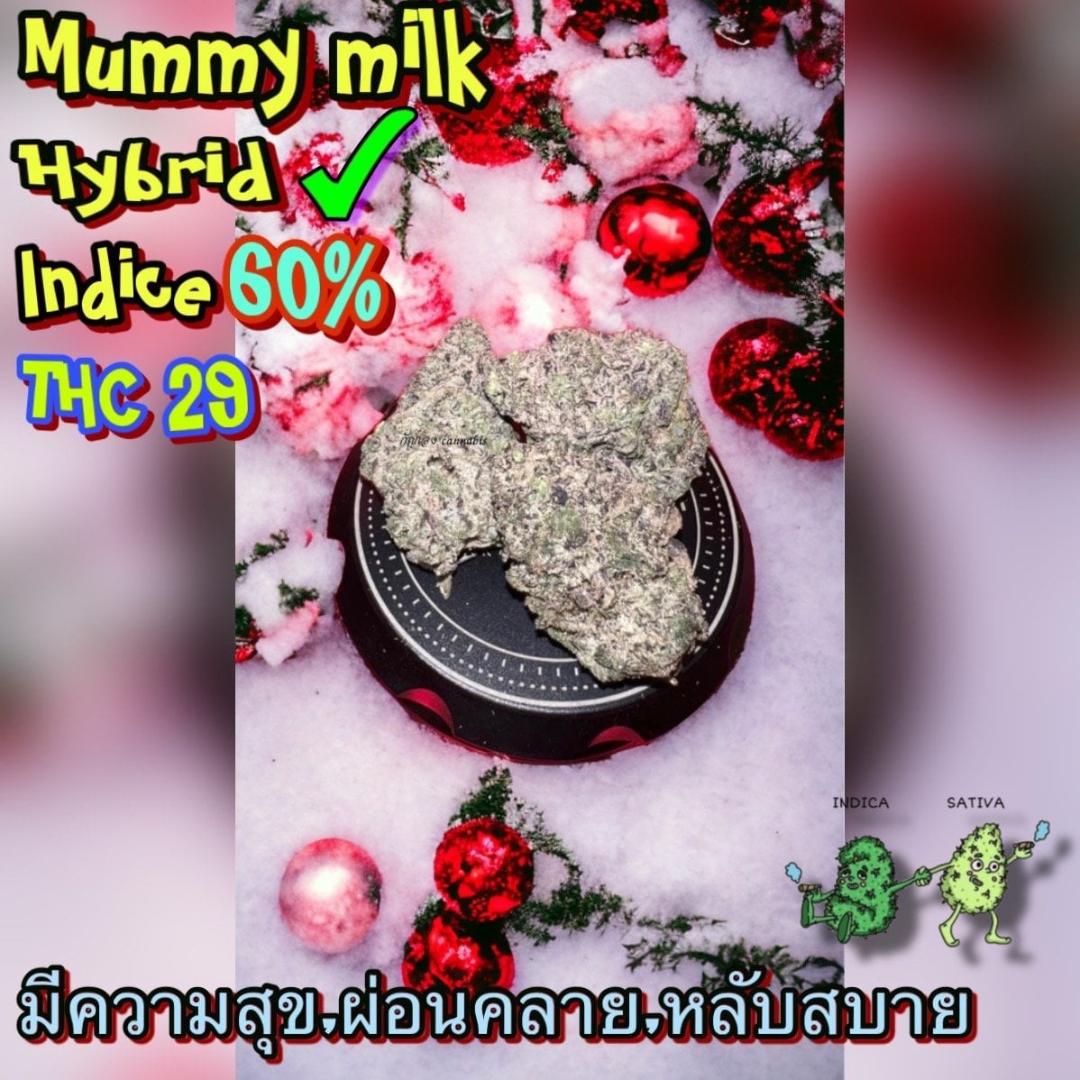 Cannabis Weed