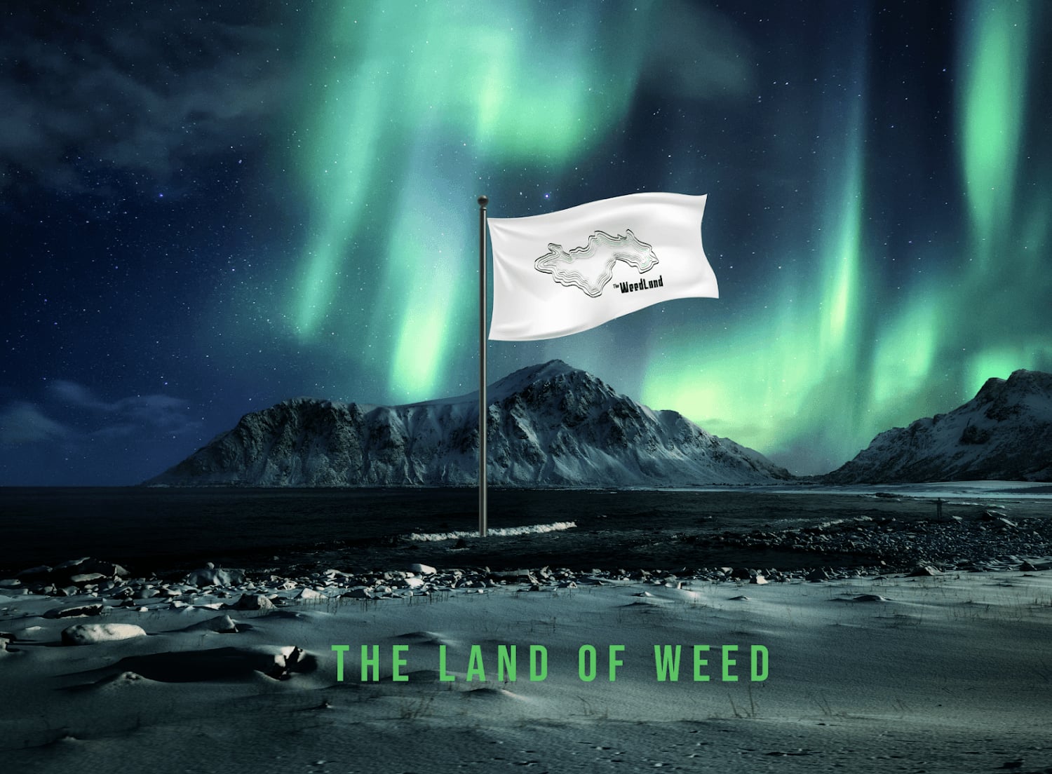The WeedLand - Premium Cannabis