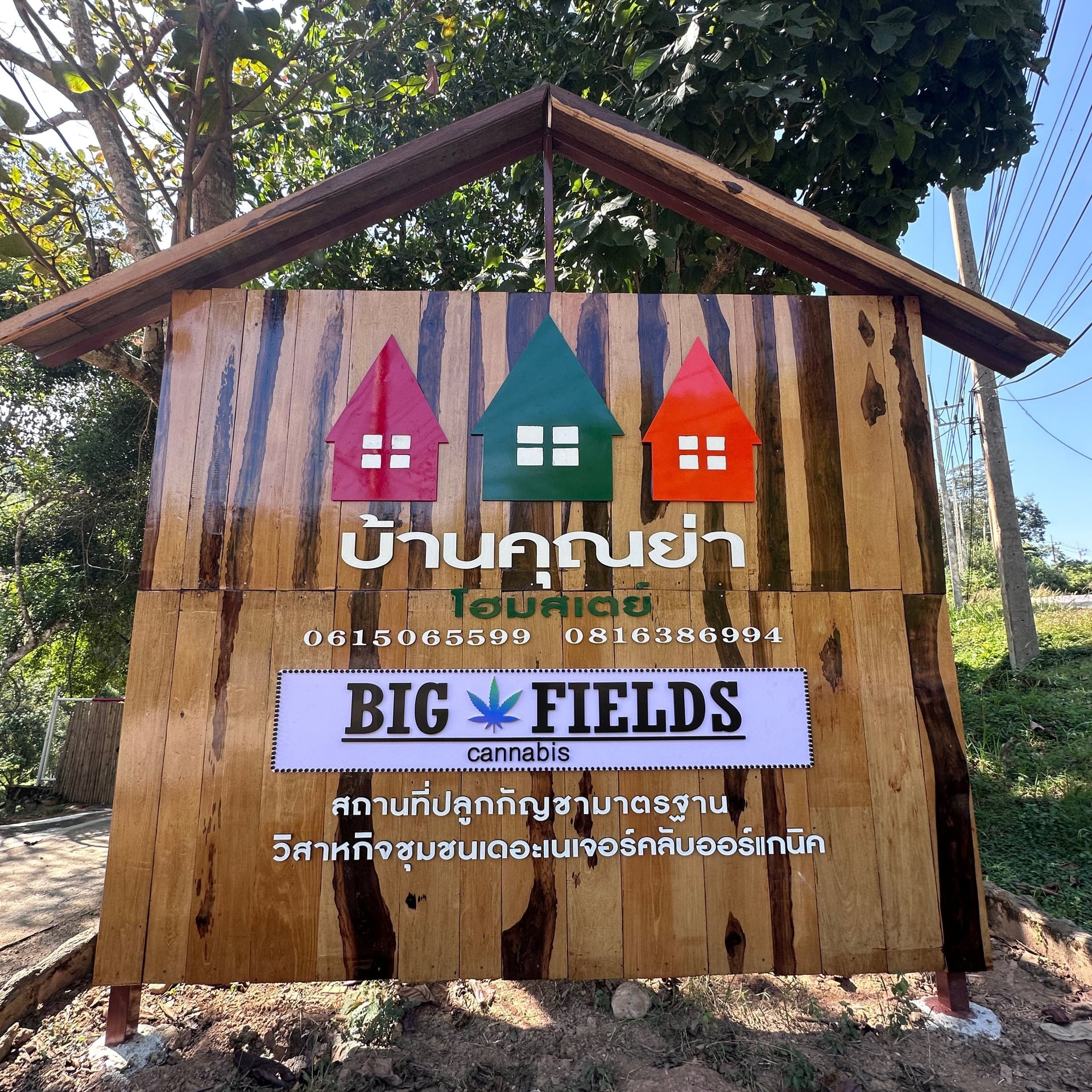 Big Fields Cannabis Farm & Shop X