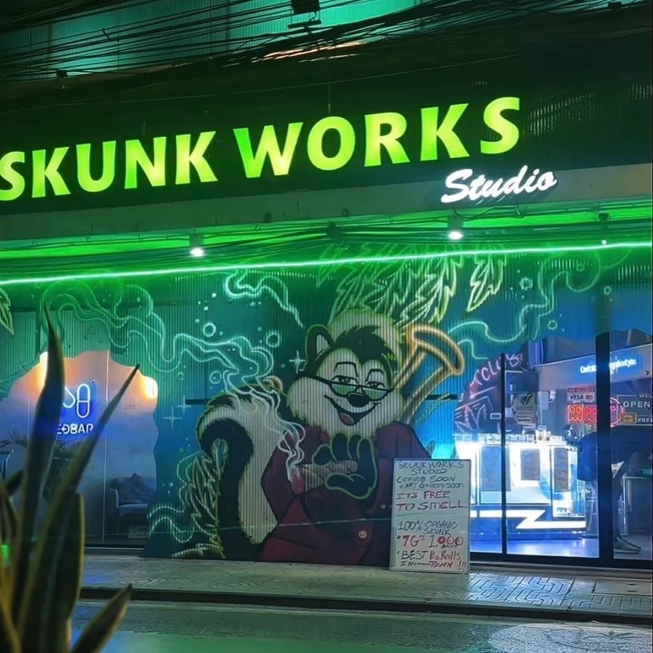 SkunkWorksStudio