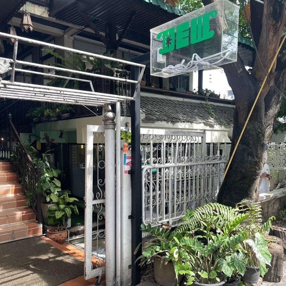 Dew Club - Premium Weed Chiang Mai In Downtown