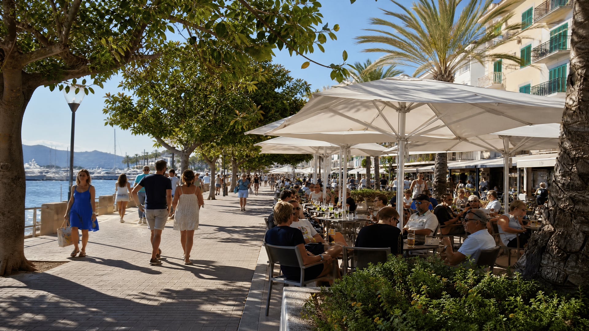 Waterfront Puerto de Alcúdia promenade with cannabis social club search context