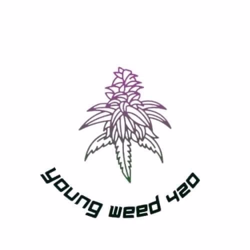 대마 소셜 클럽 Youngweed420 로고