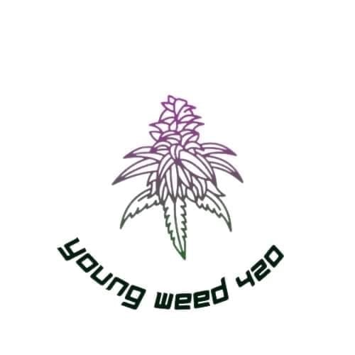 Cannabis Social Club Youngweed420 Logo