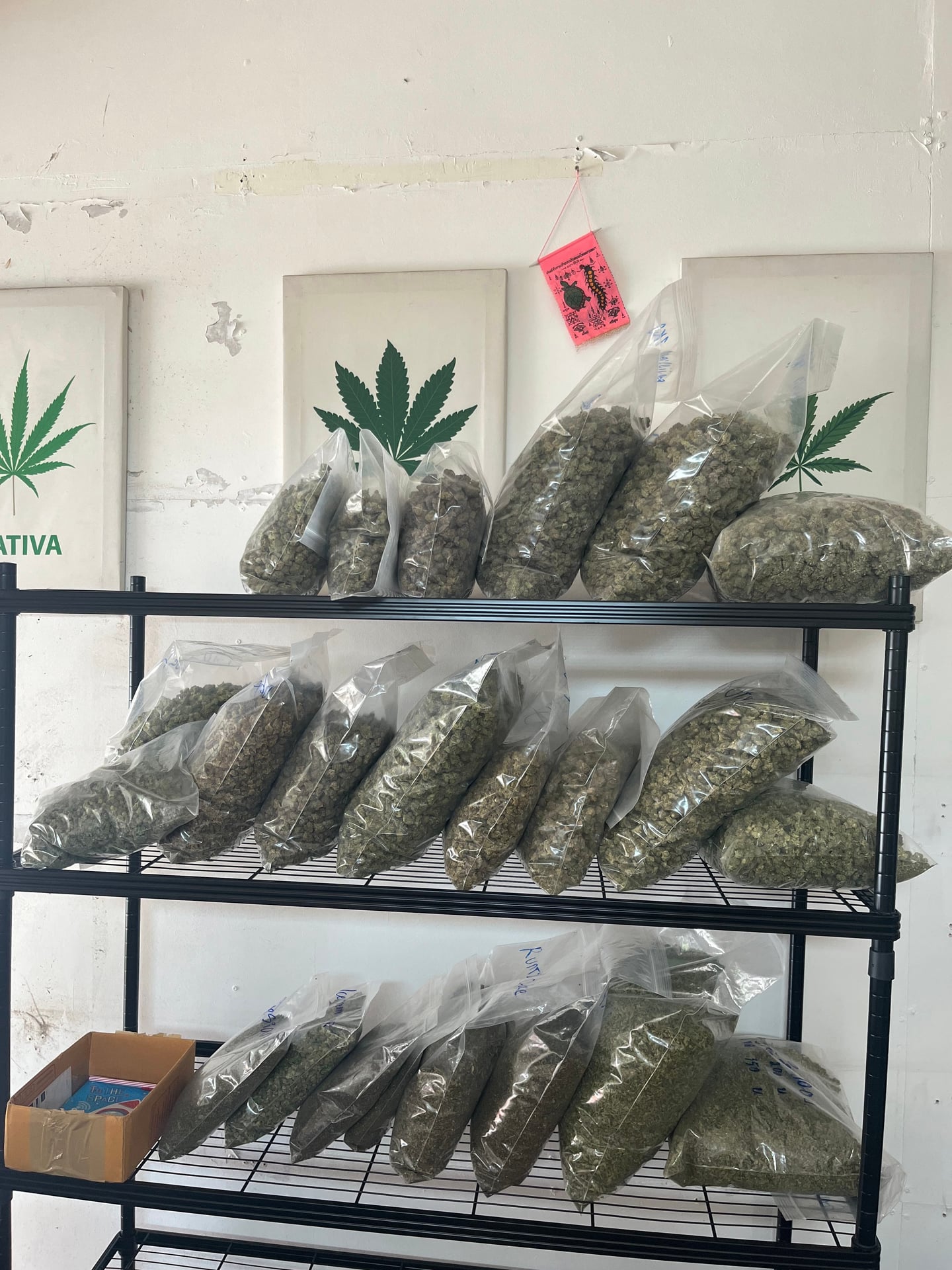 Cannabis By P.O.G