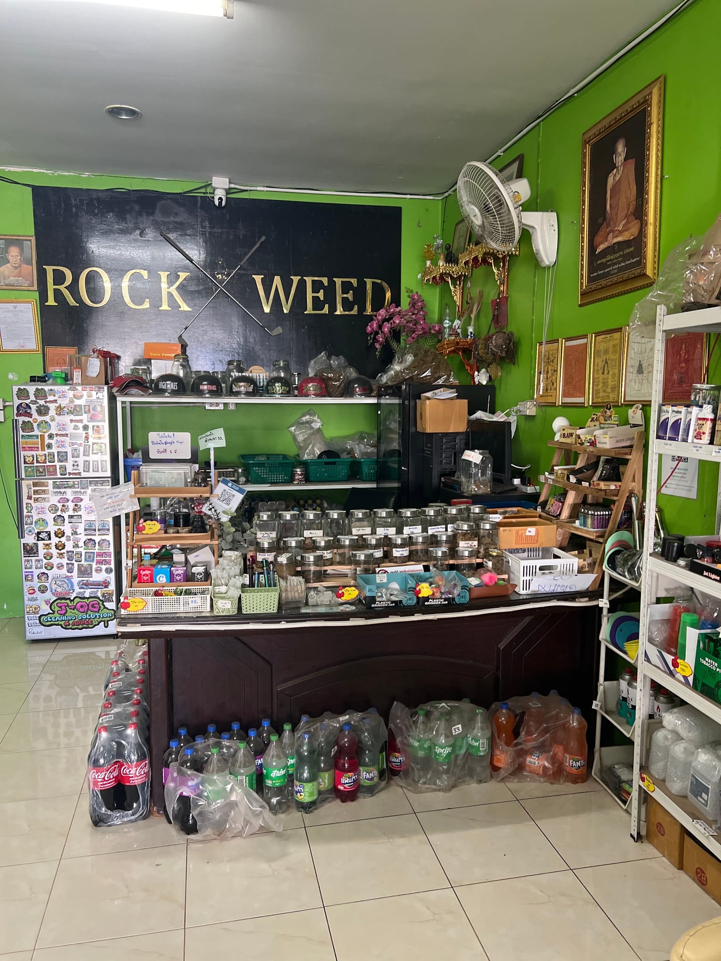 Rockweed Cannabis Shop Songkhla