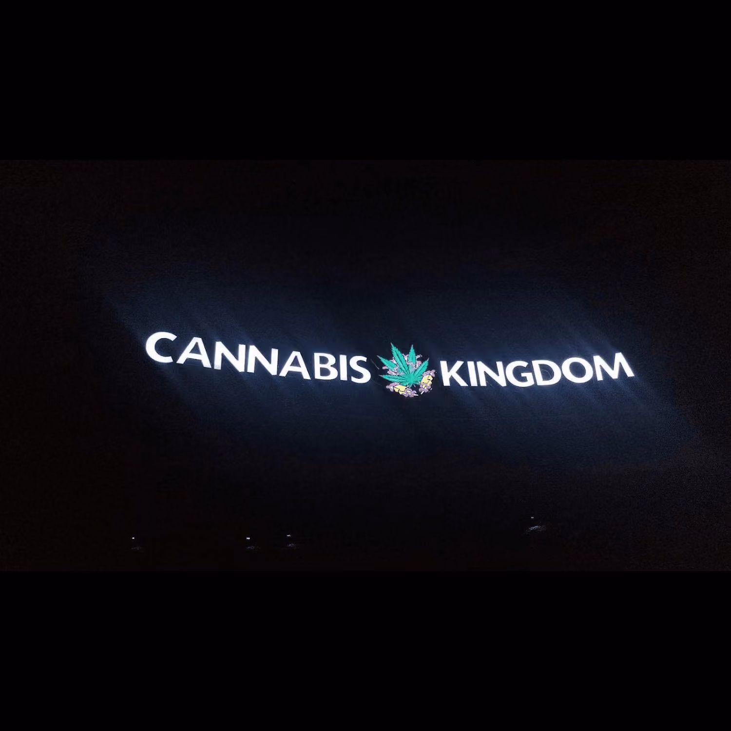 Cannabis Social Club Cannabis Kingdom Replay a Ko Samui logo