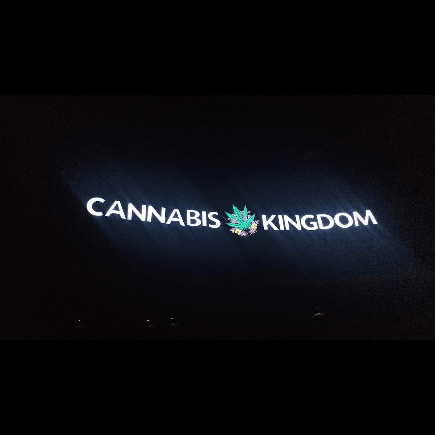 Cannabis Social Club Cannabis Kingdom Replay logo