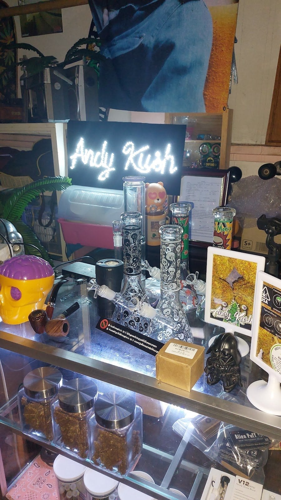 Andy Kush Cafe X Skate Pool