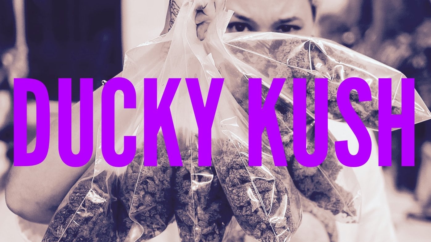 Ducky Kush