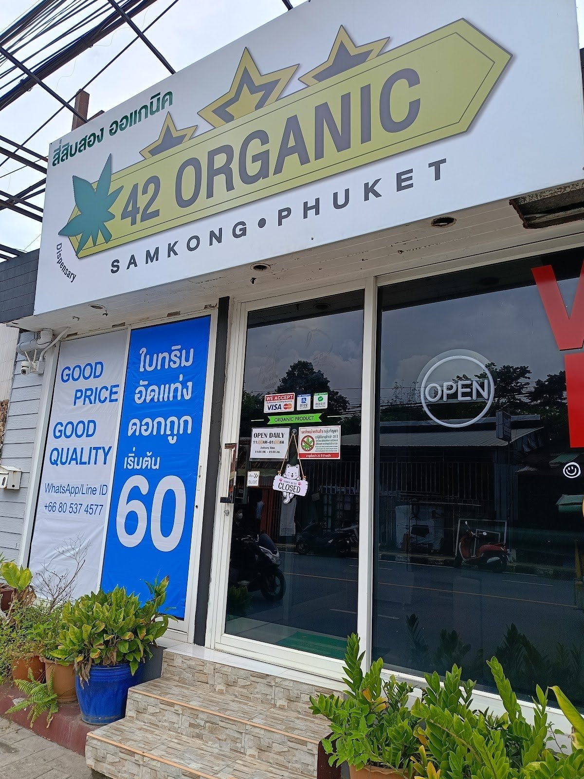 42 Organic Weed