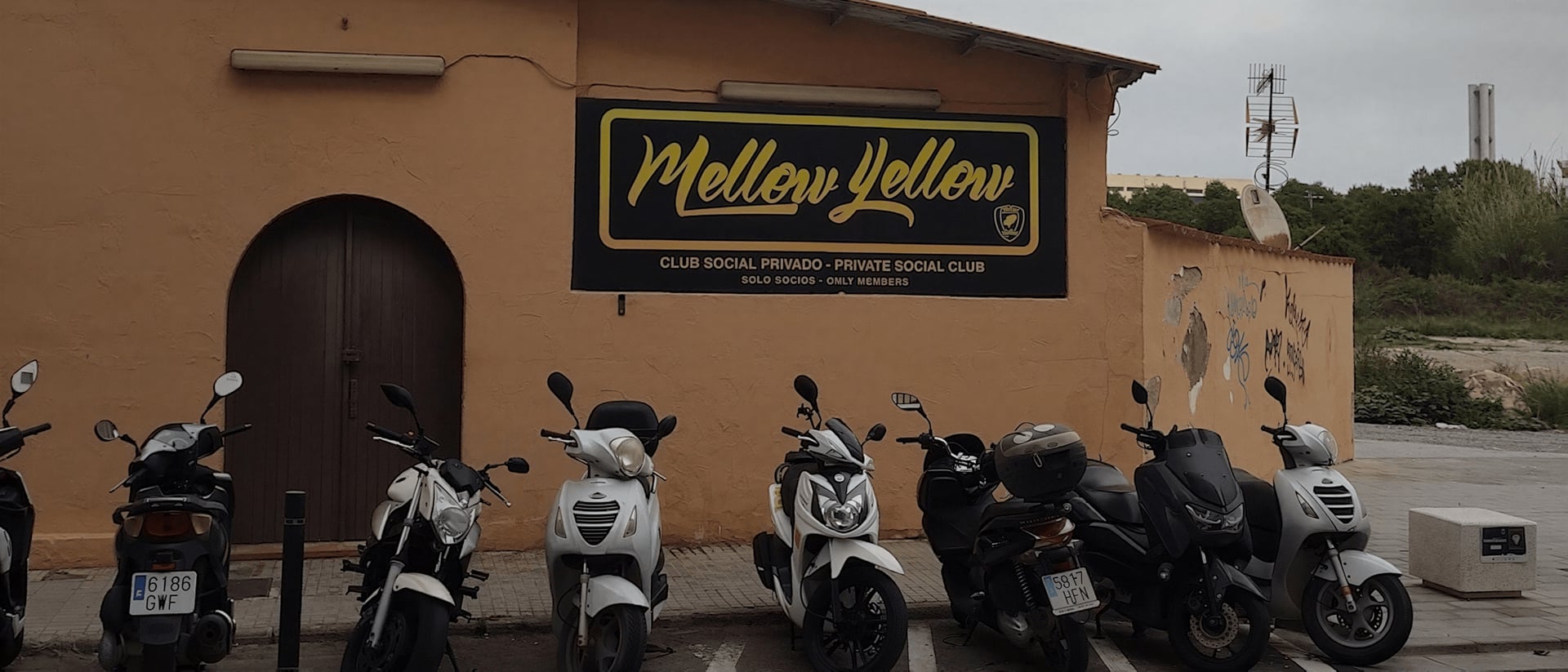 Mellow Yellow hero