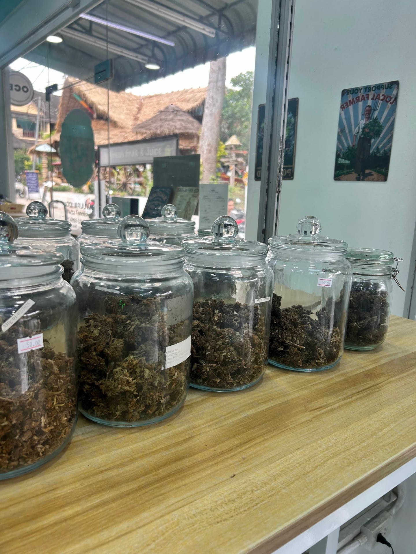 Nutta Cannabis