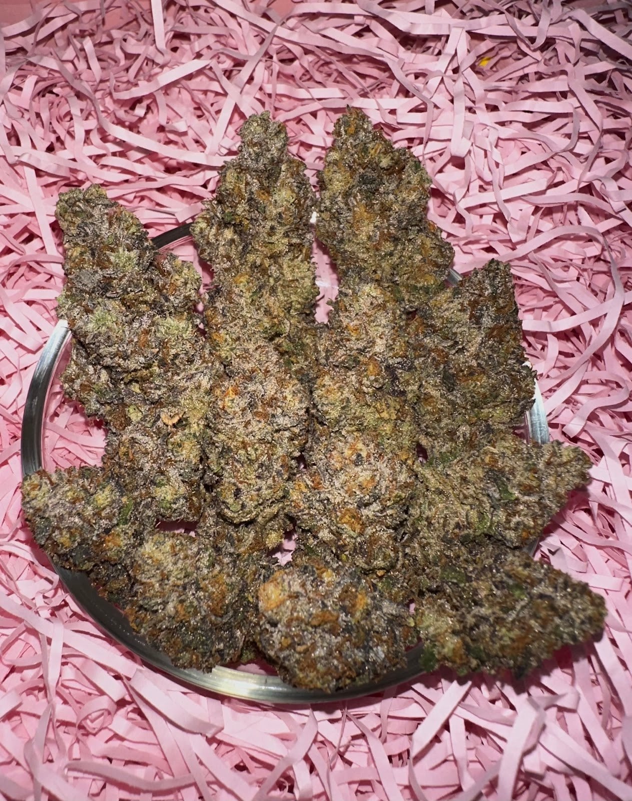 Khronic Genetics