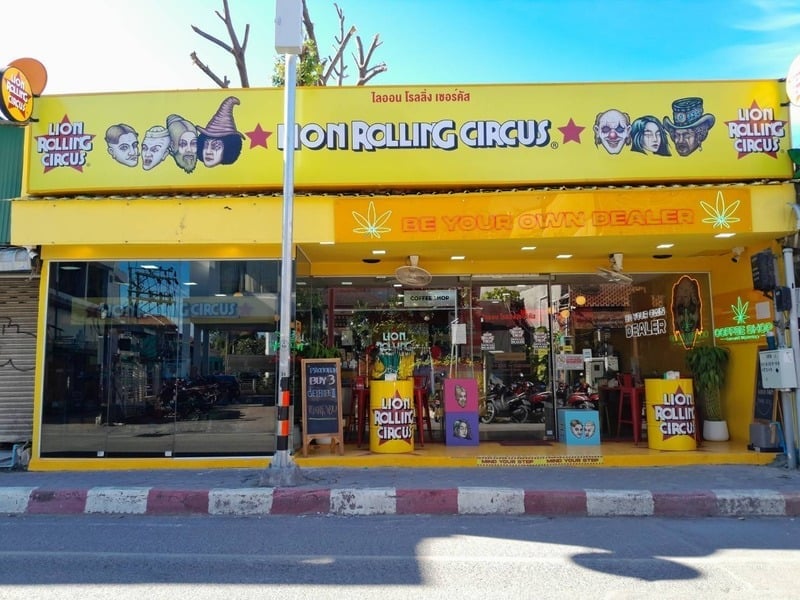 Lion Rolling Circus