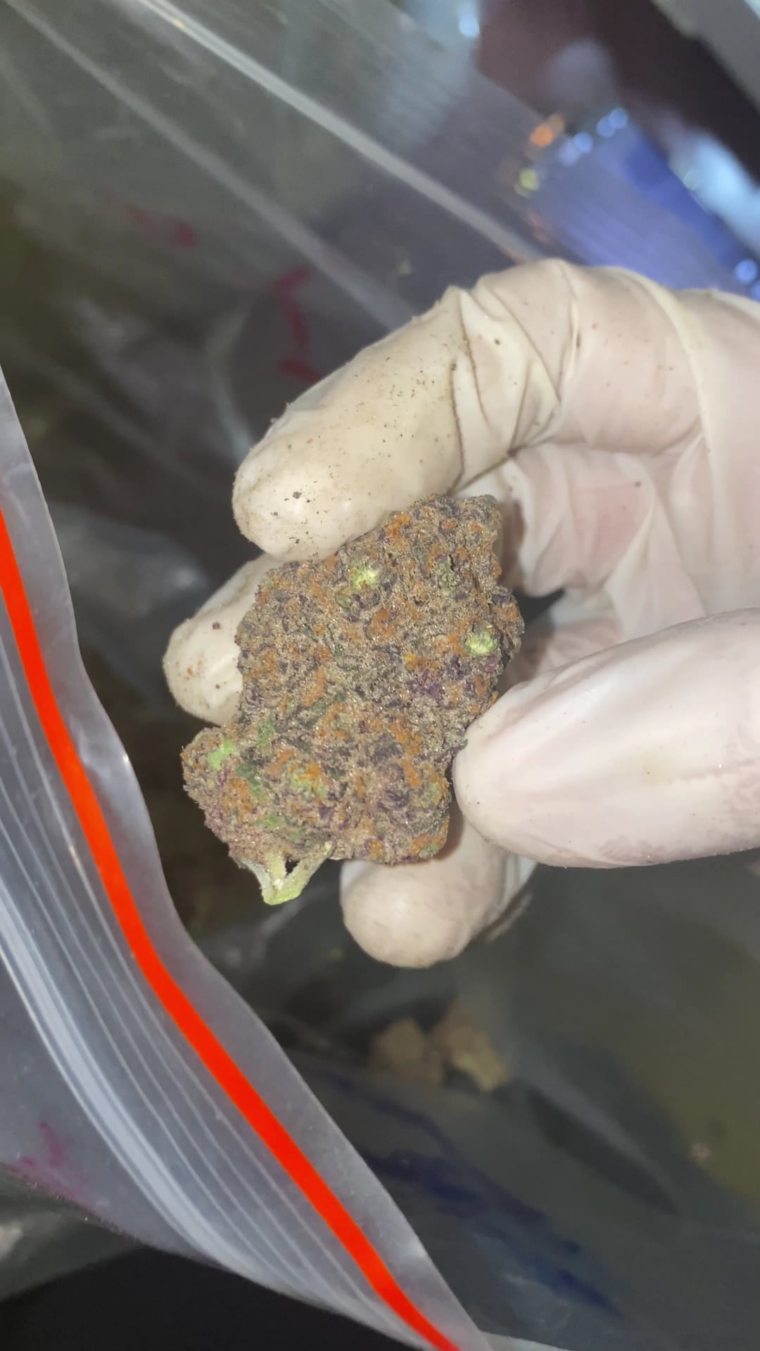 WEED THE OPP High Zone