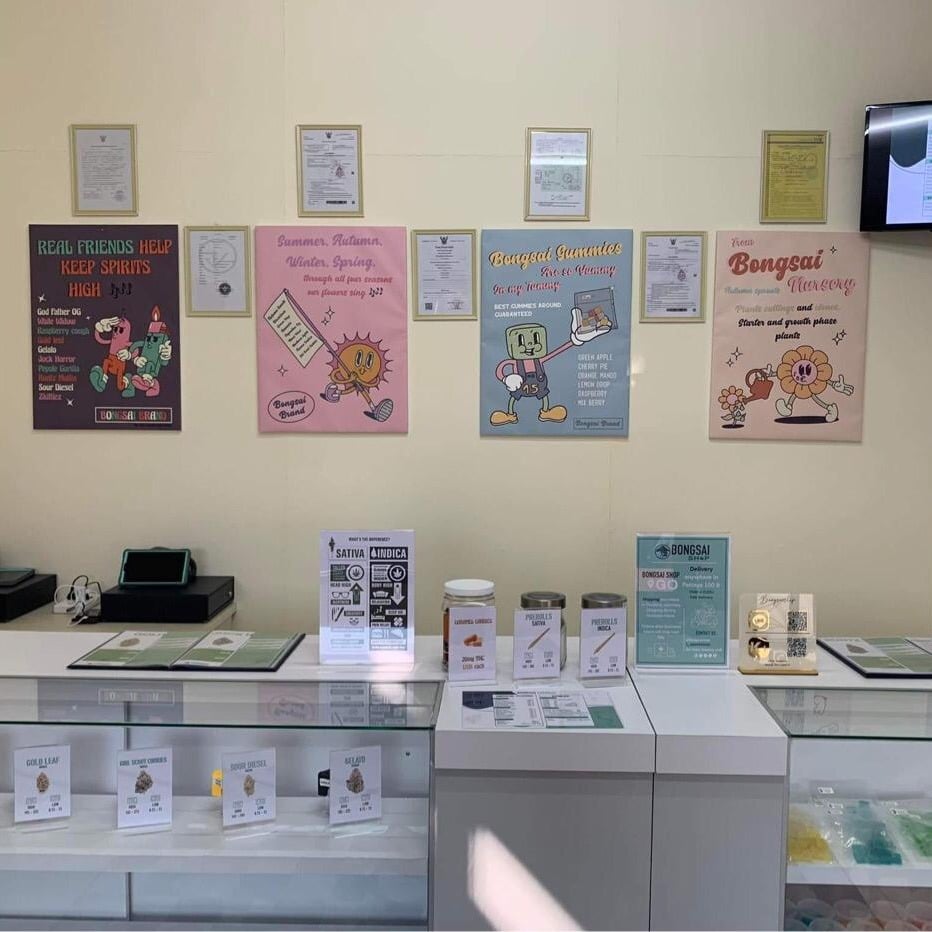 Bongsai Shop: Express Medical