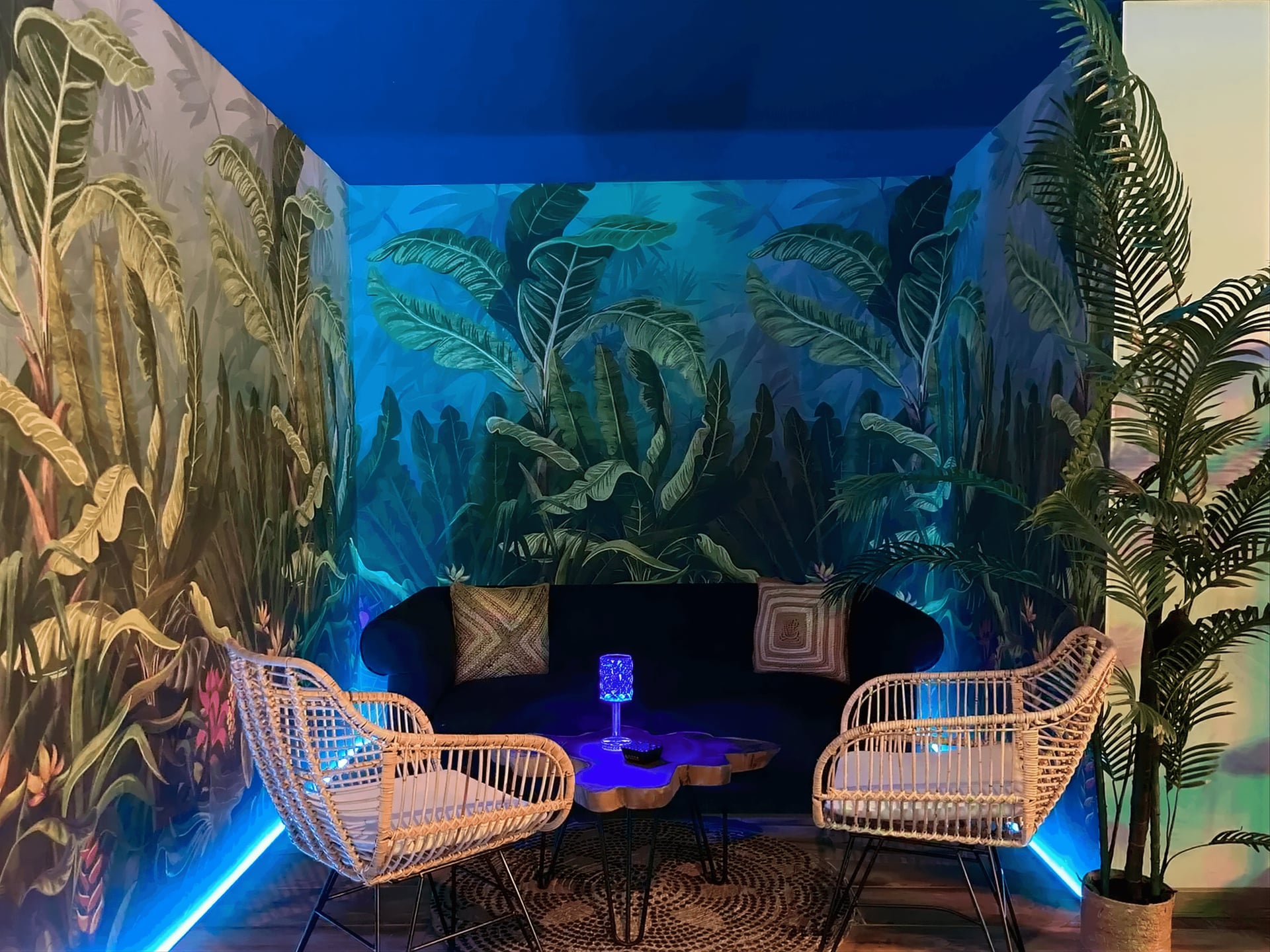 Jungle House
