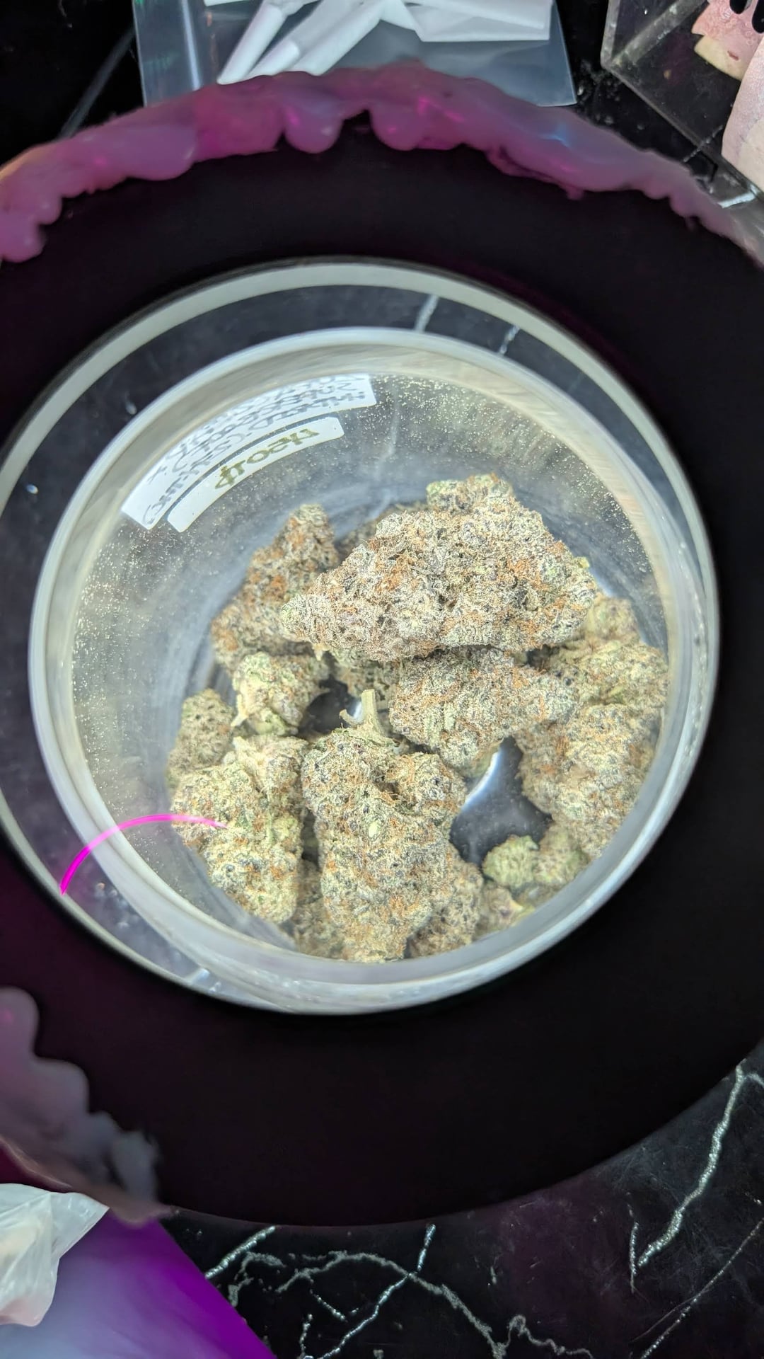 High Dood Coffee Shop Cannabis Cafe