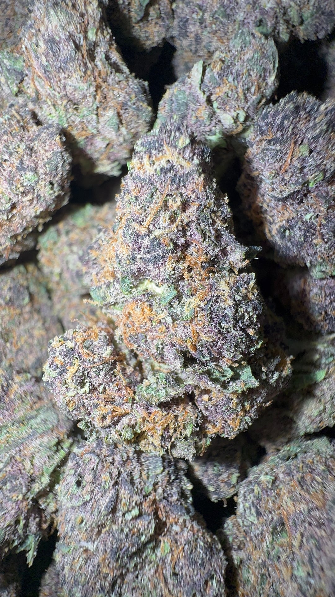 I HAVE CANNABIS Huai Khwang
