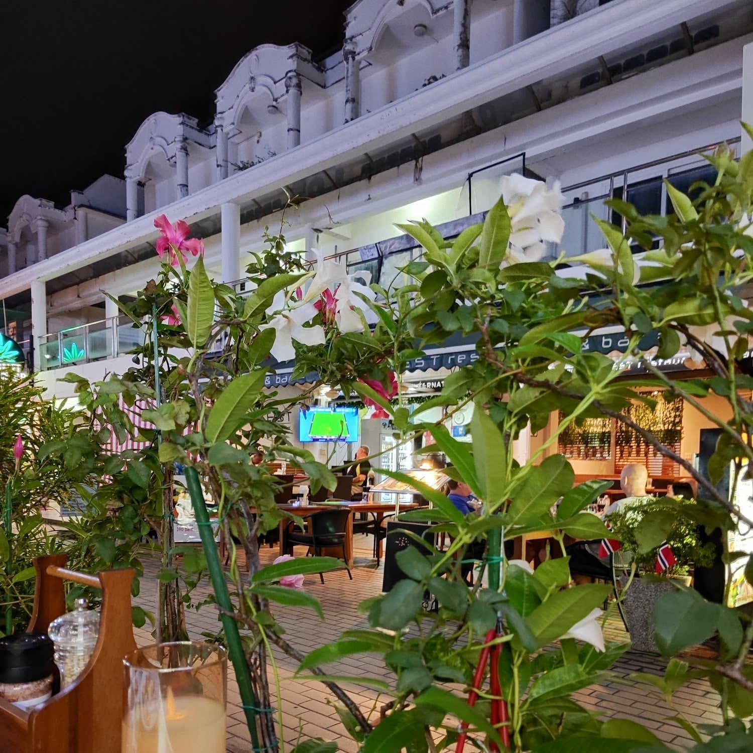 Cannabis Weed Shop, Café De Paris