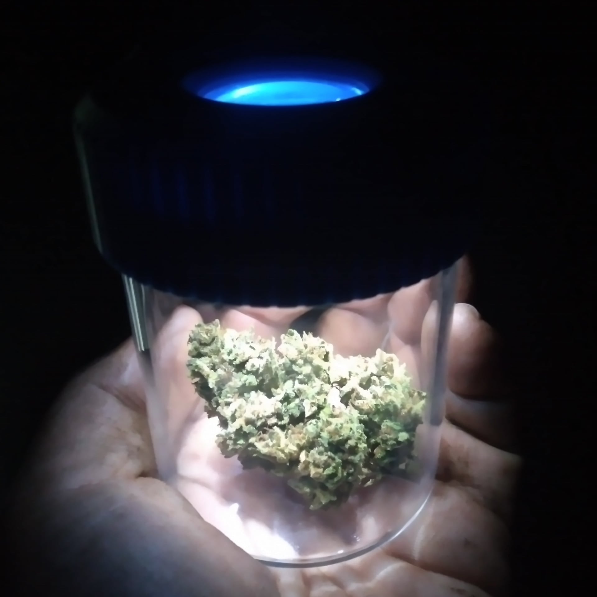 Cannabis Social Club AJ & Nano Hydrofarm logótipo