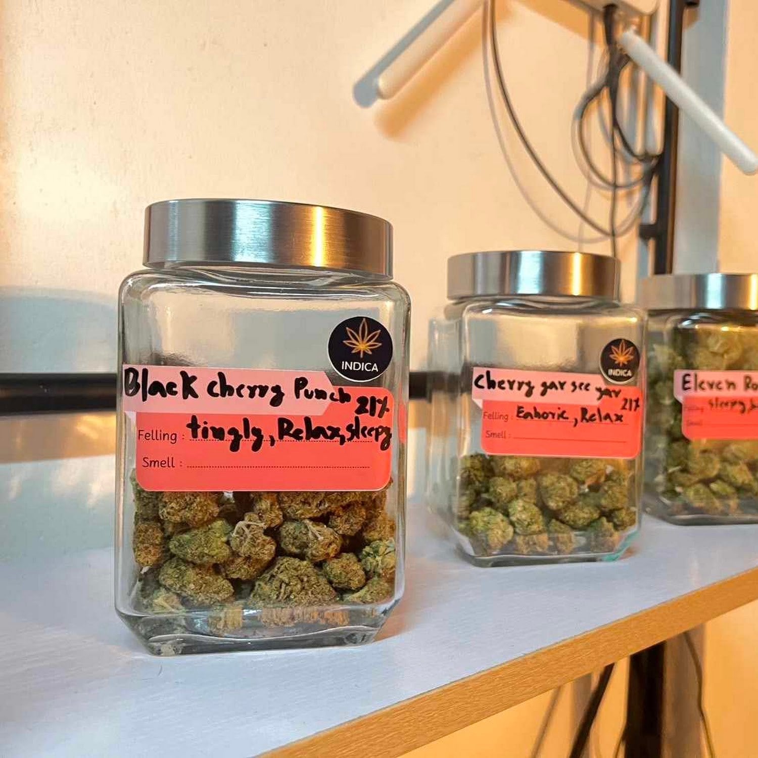 Cannabis
