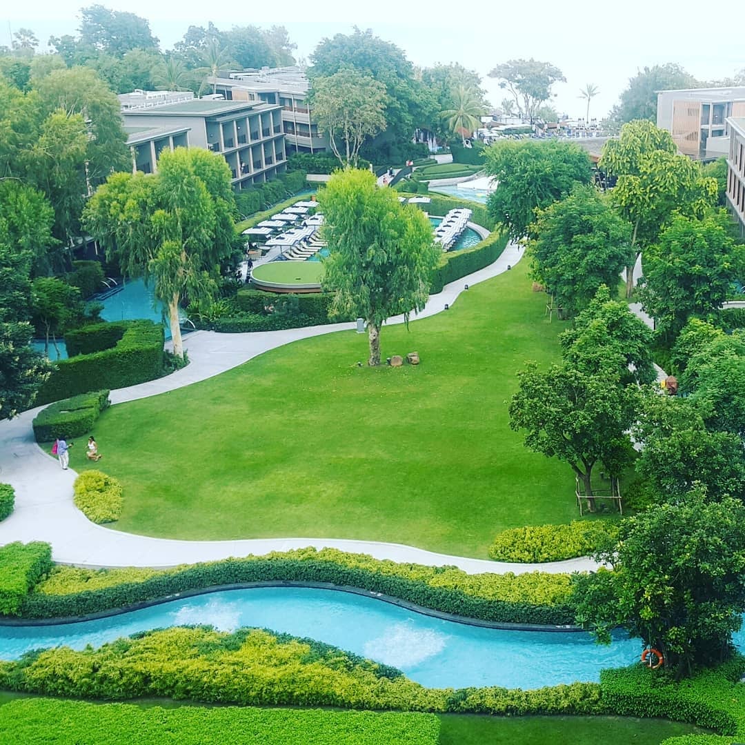 Paradise Green Hua Hin Cannabis
