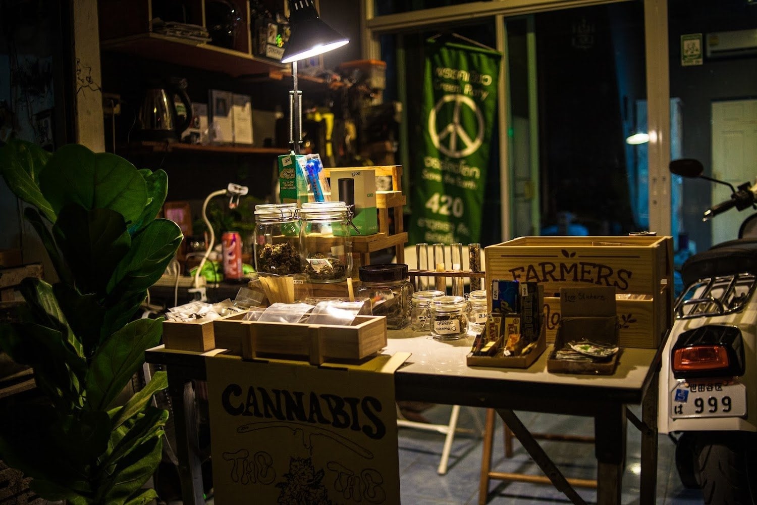 Bogahempcannabis