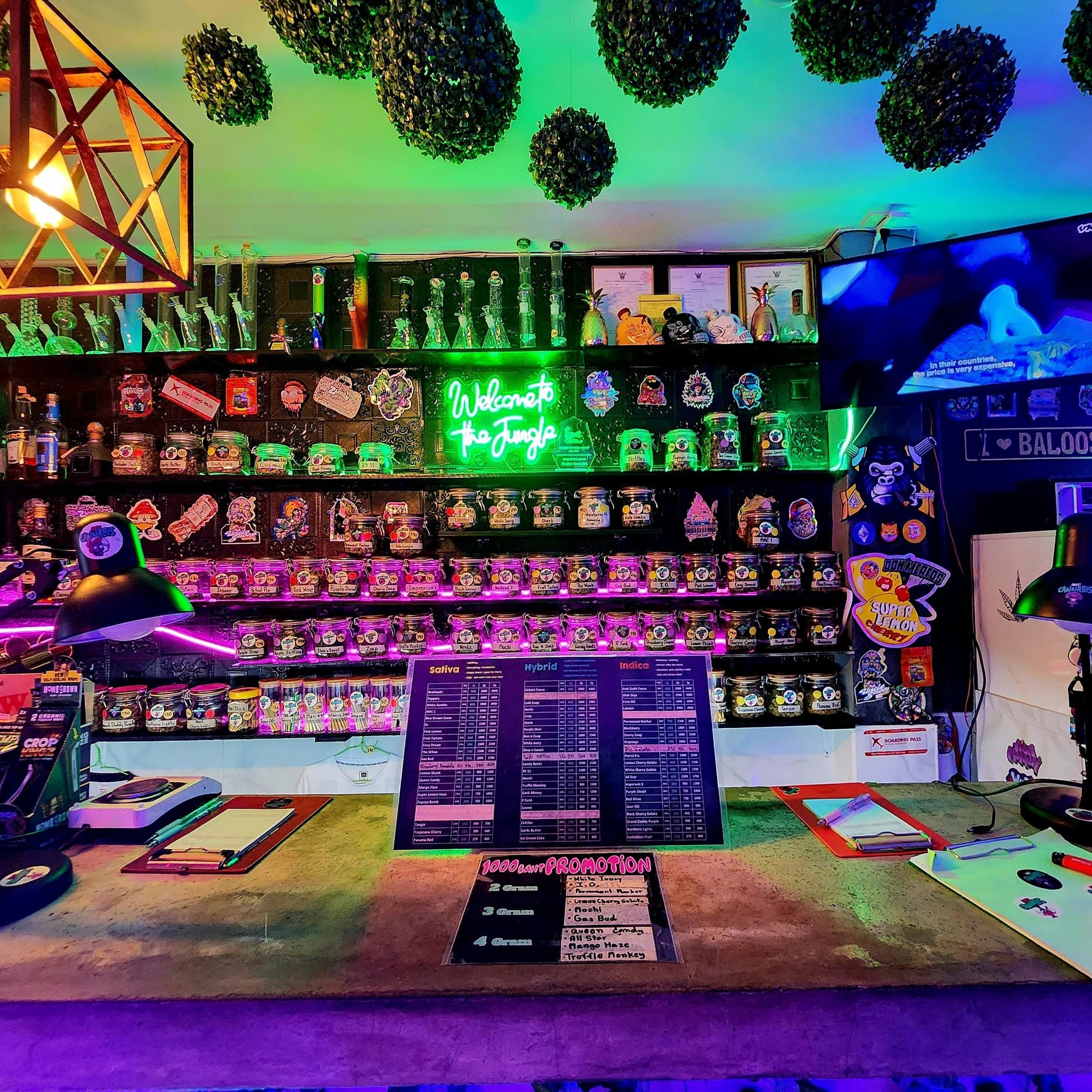 Phuket Cannabis