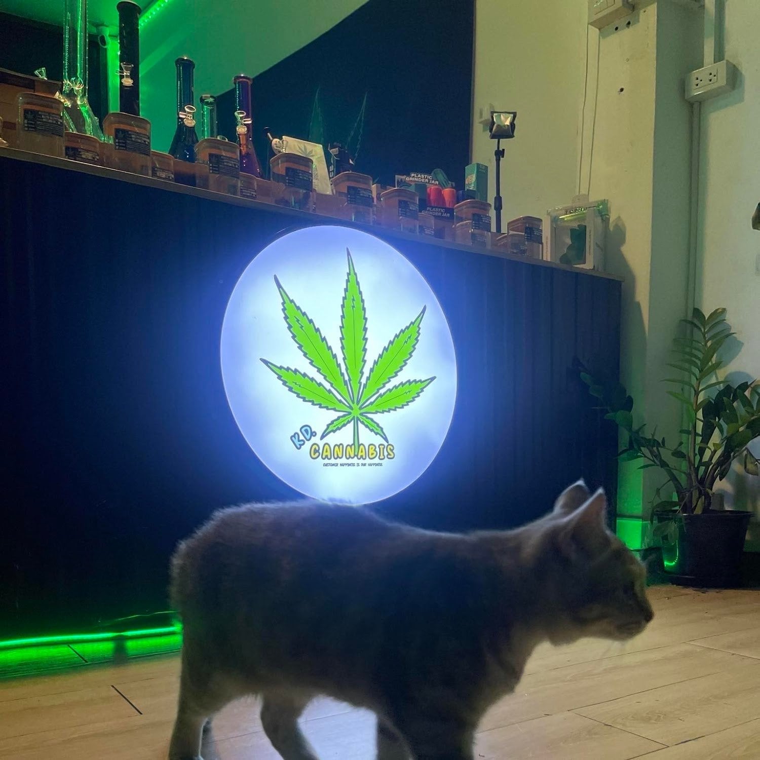 KD.Cannabis
