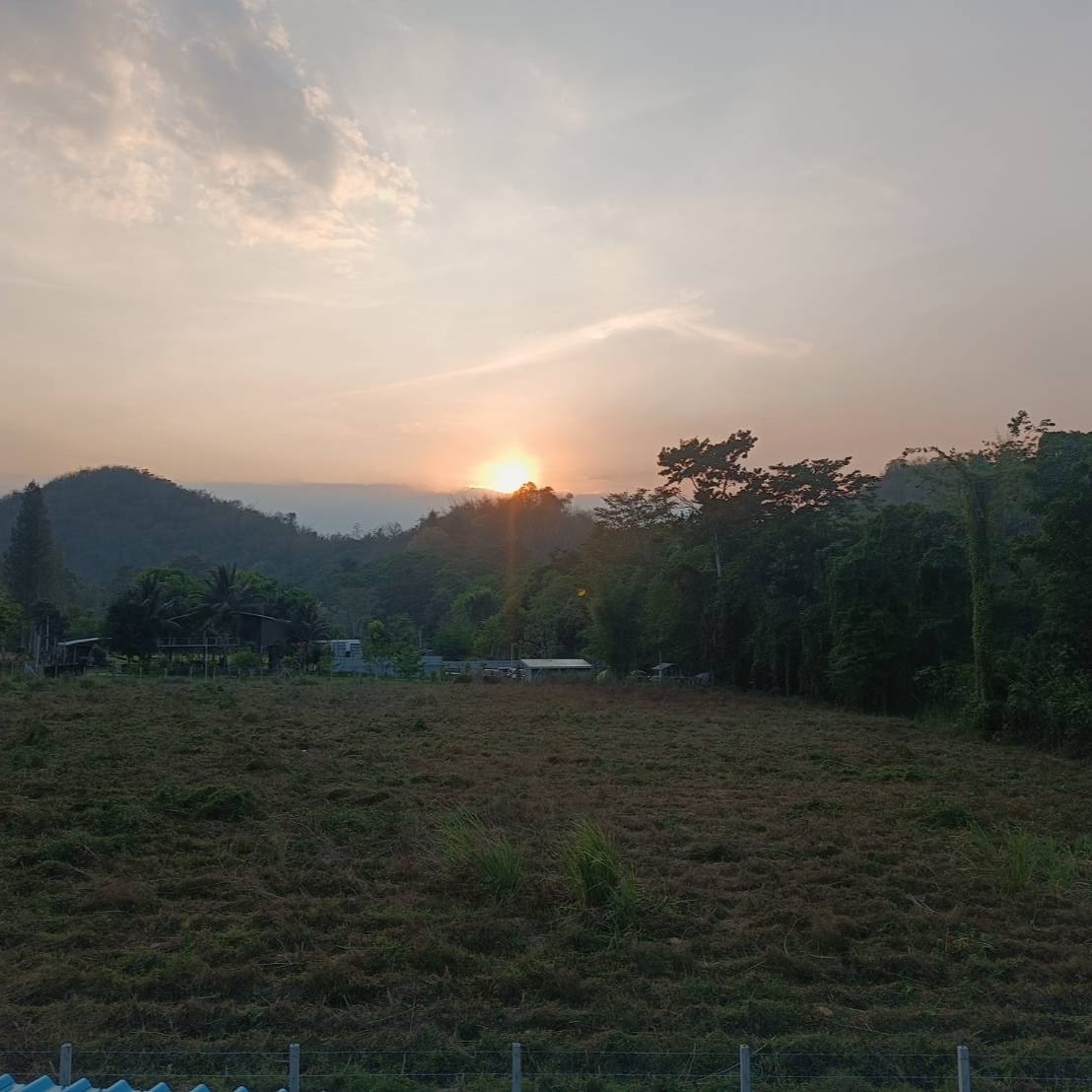 Yot Manut Gan Suan Phueng