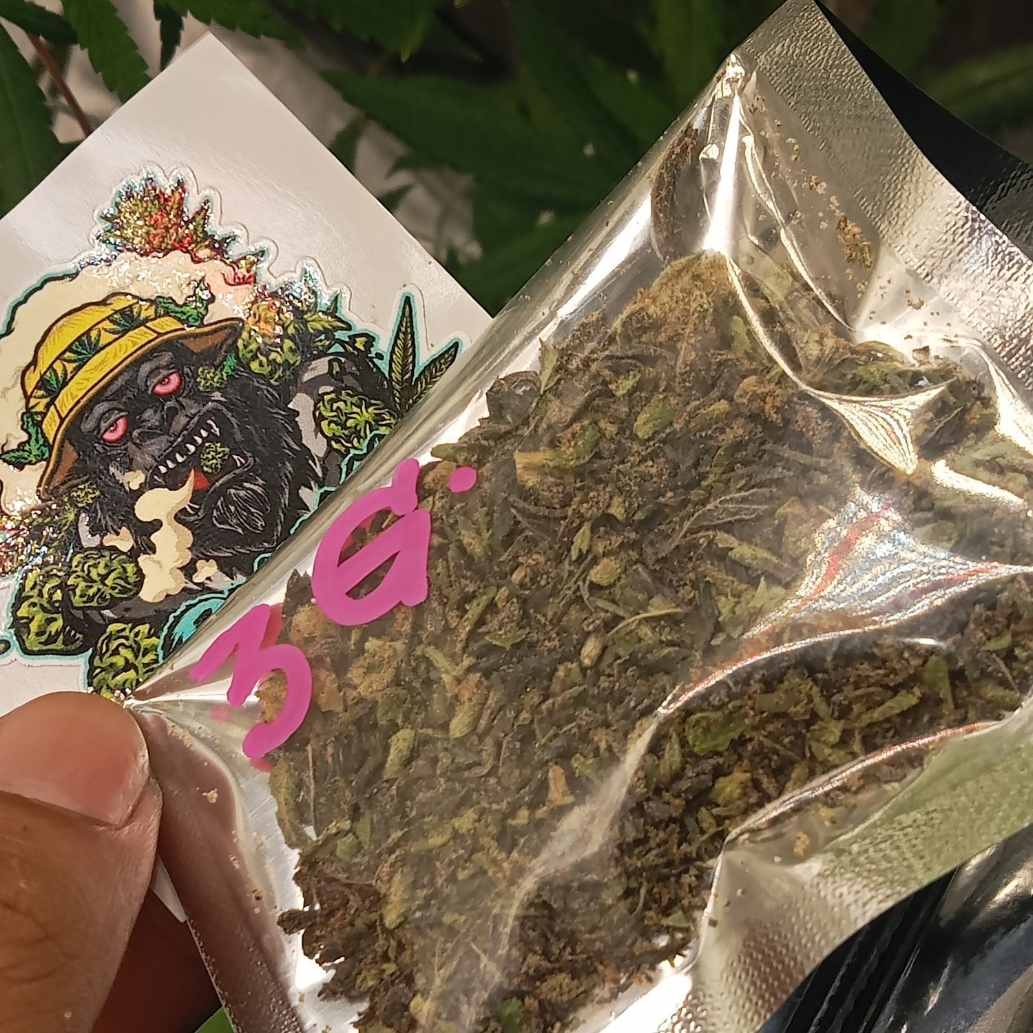 Dokmai Samwa