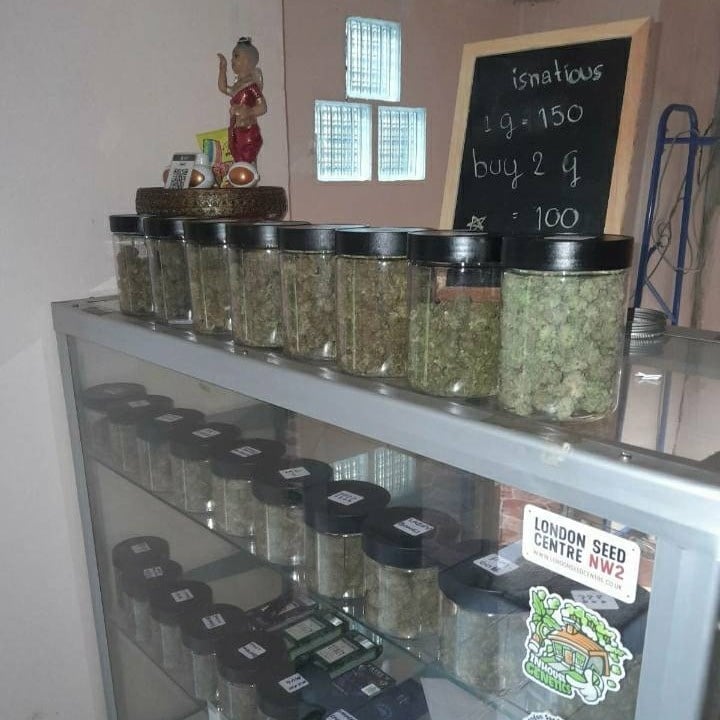 Isnatious Cannabis