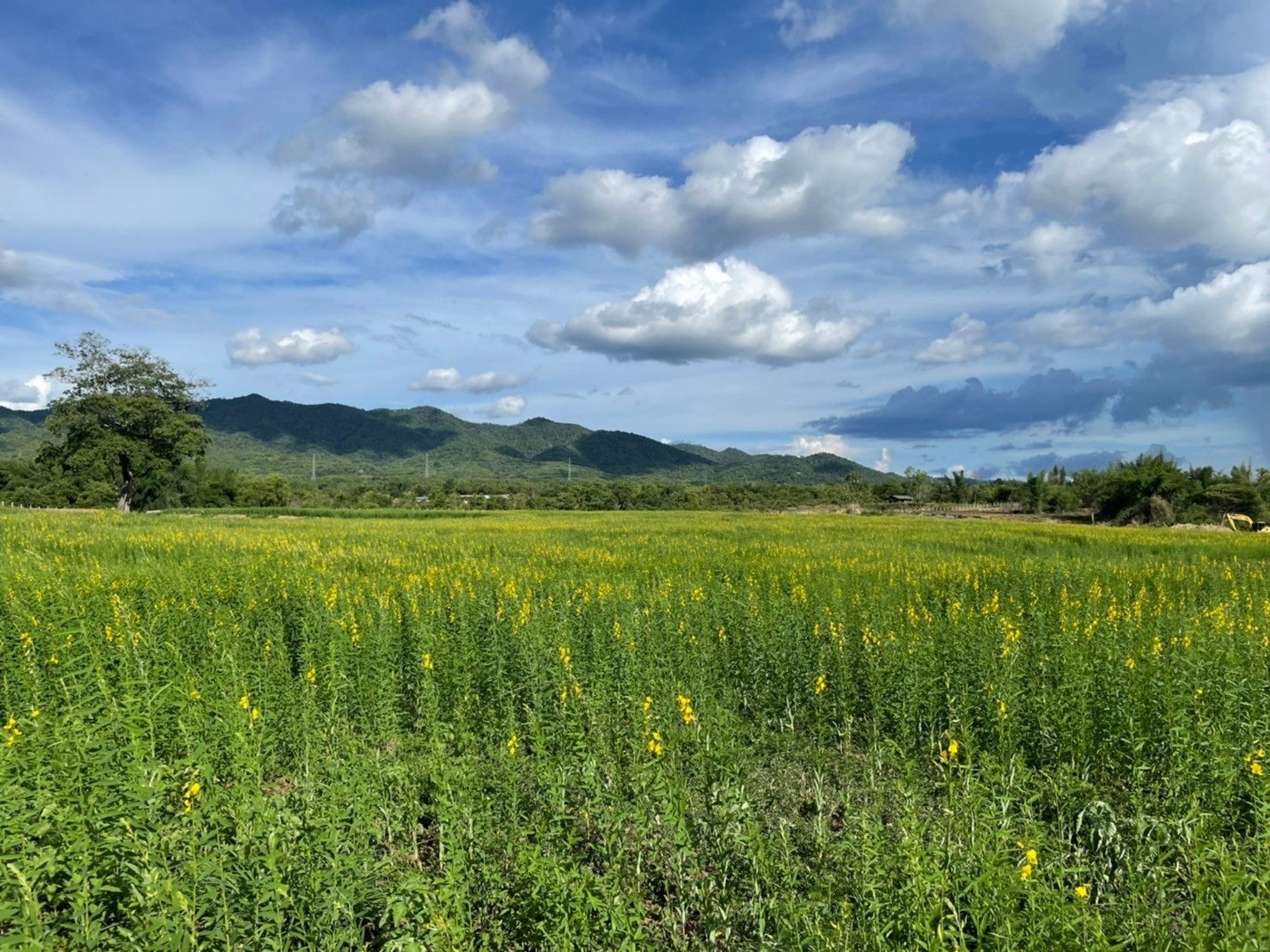 Pangtawan Valley