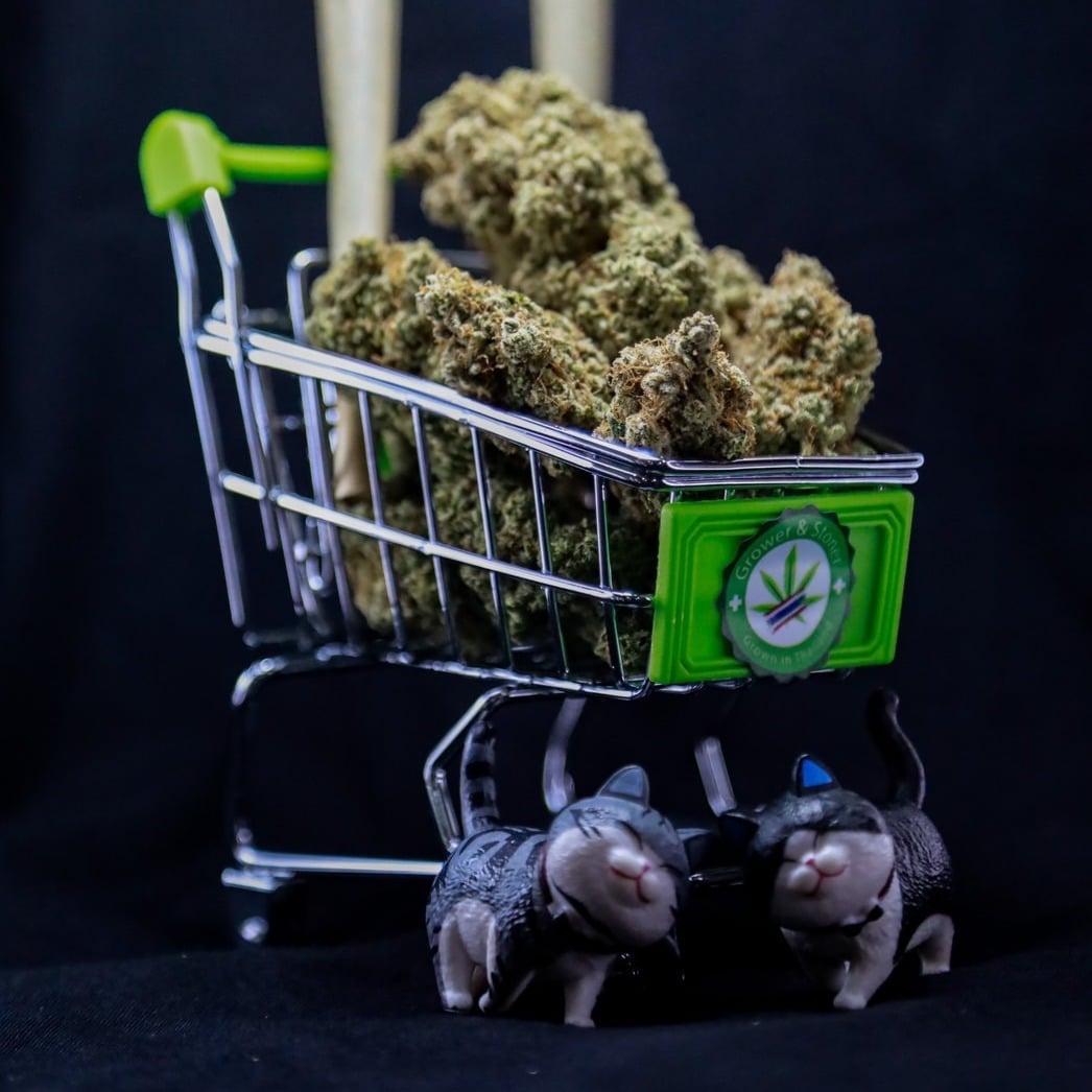 Grower And Stoner