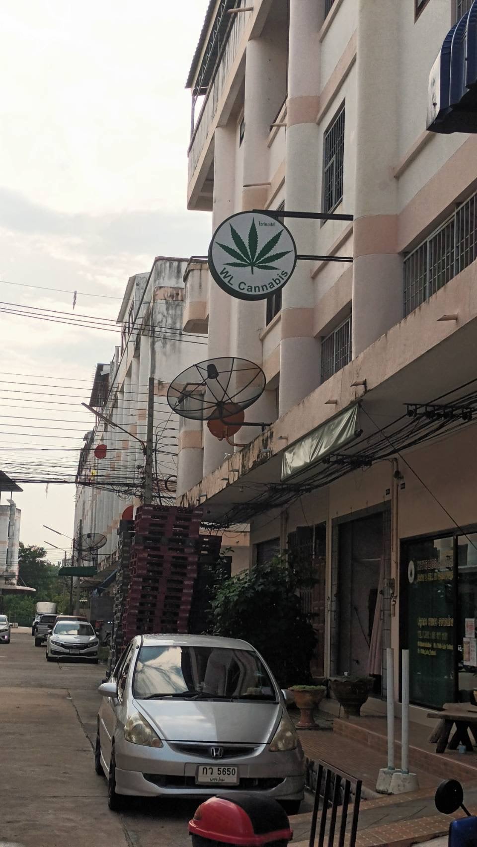 White Labs Cannabis Sriracha Chonburi Indoor Farm Direct