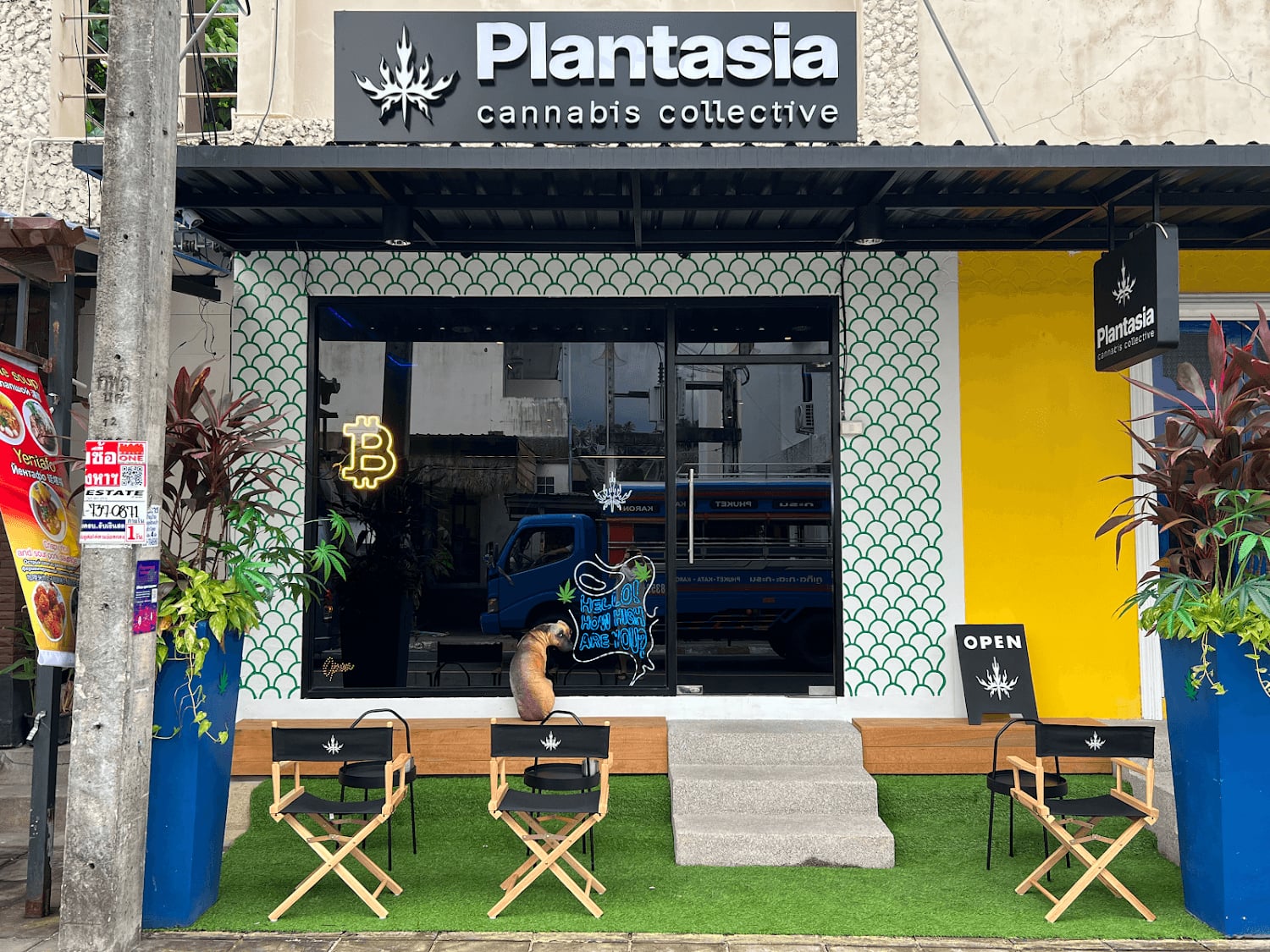 Plantasia Weed Cannabis Shop