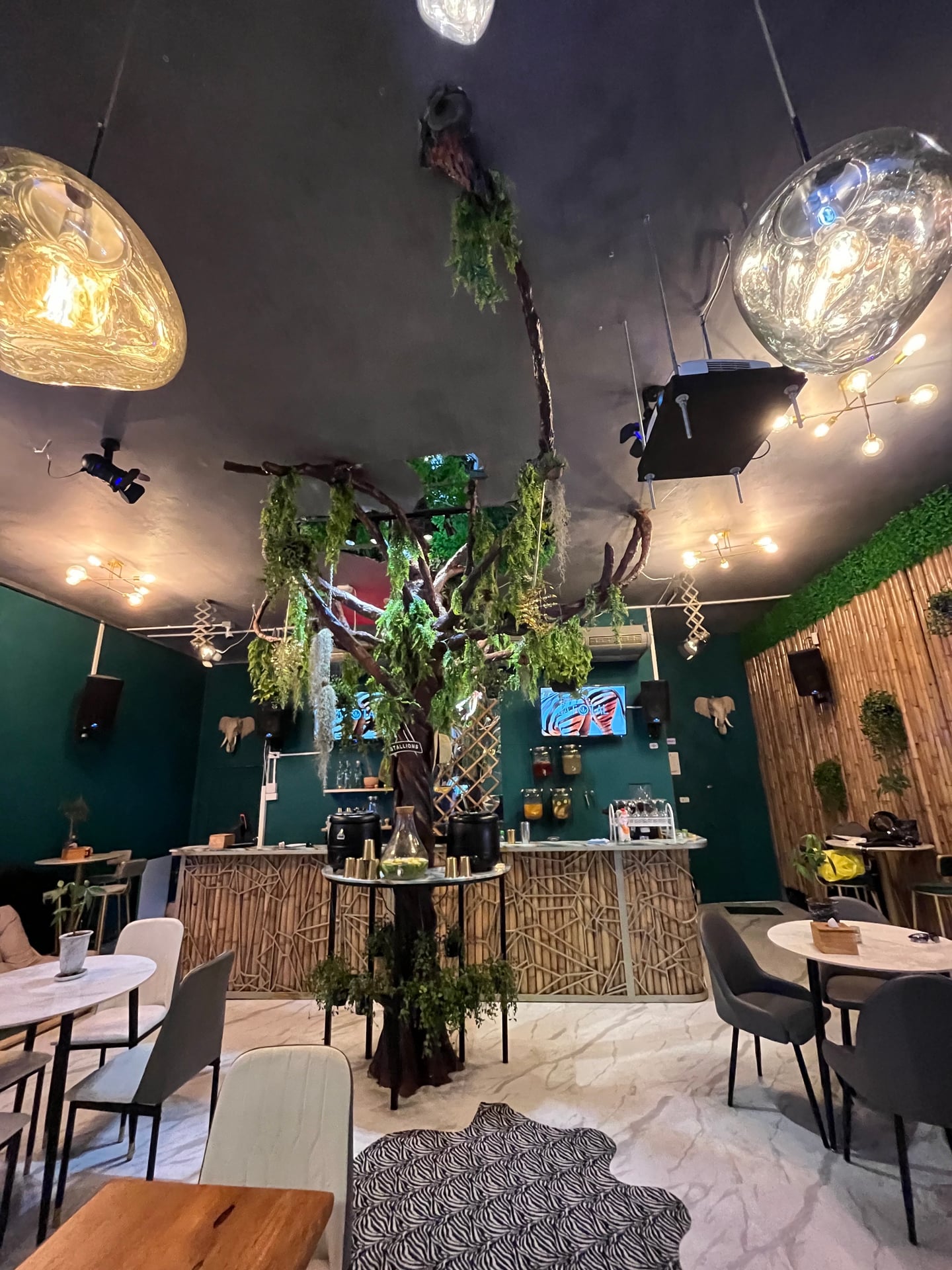 LATOTAL - Concept Bar
