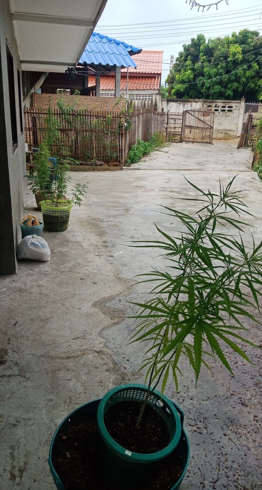 Bkc420
