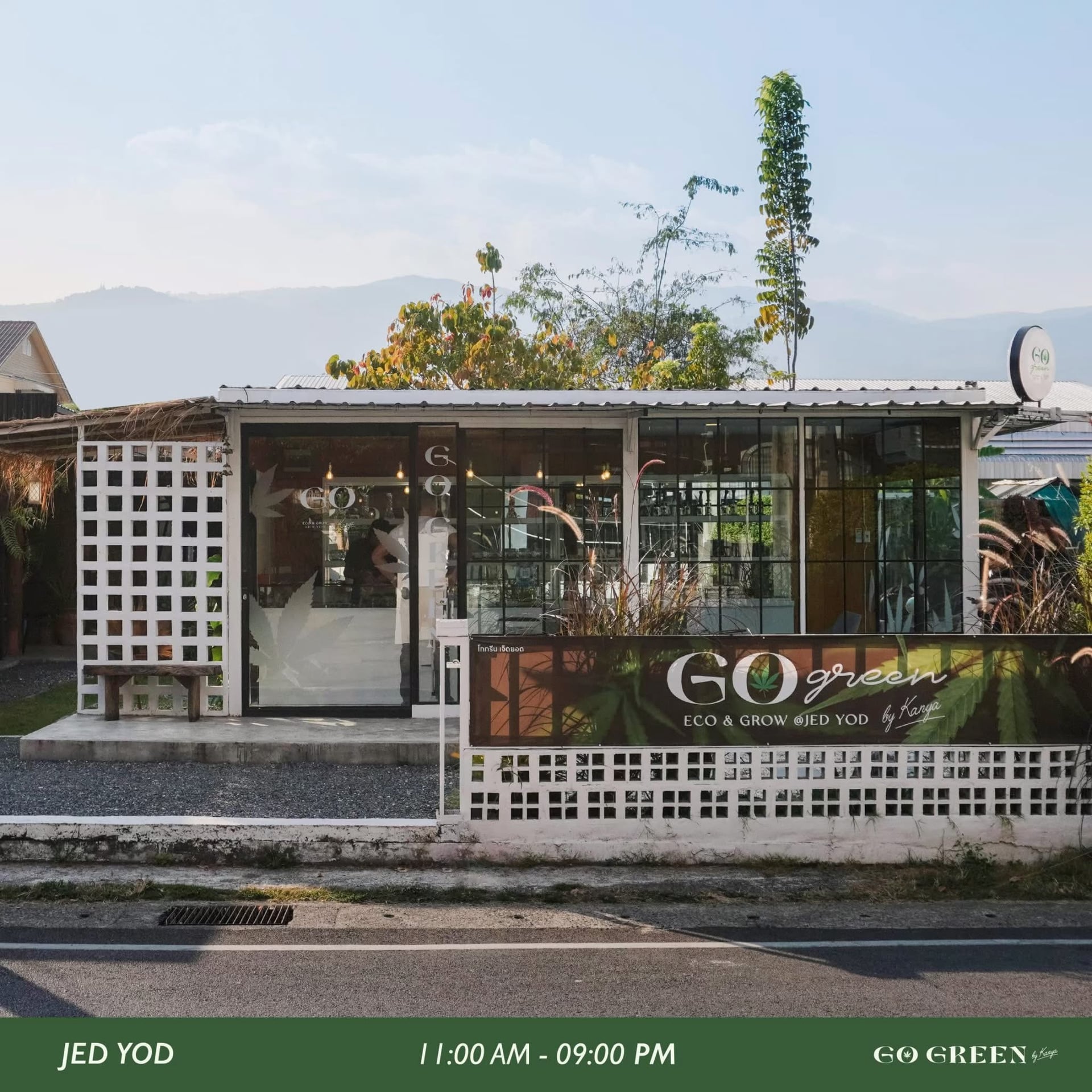 GoGreen By Kanya - The Best Weed Shop Dispensary Jed Yod