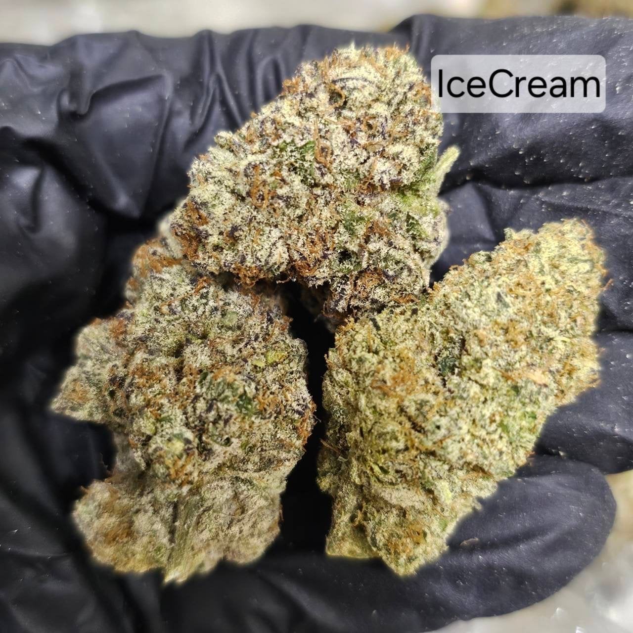 Green Sloth Weed Shop420