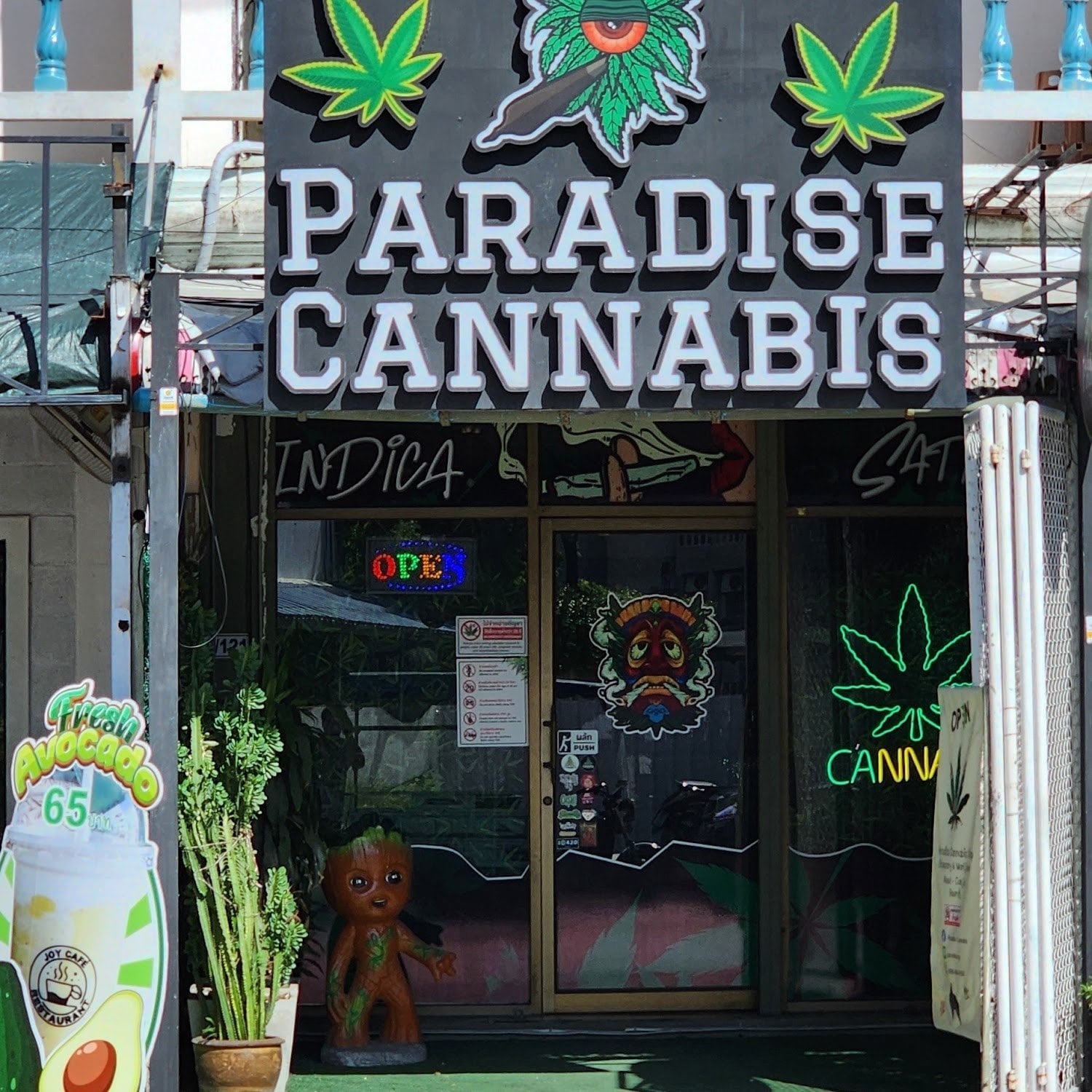Paradise Cannabis Weed Marijuanas