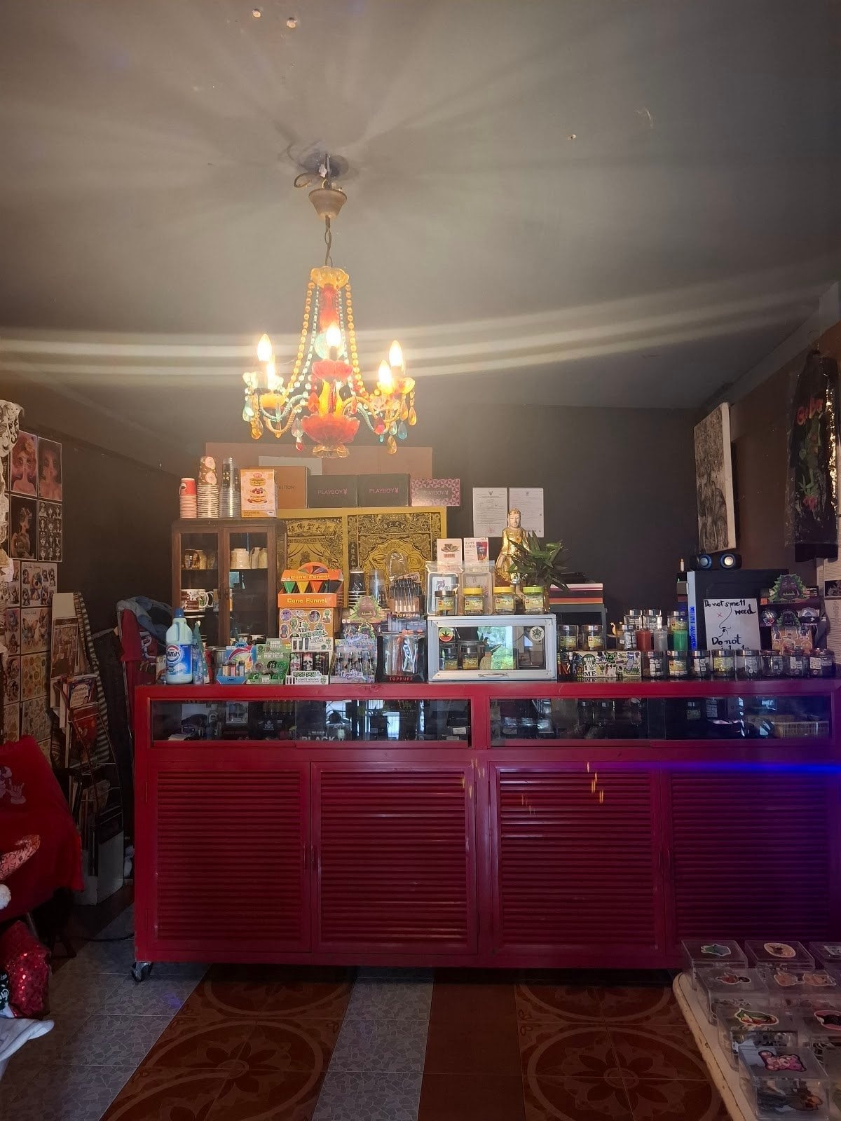 Cannabis & Pizza House7