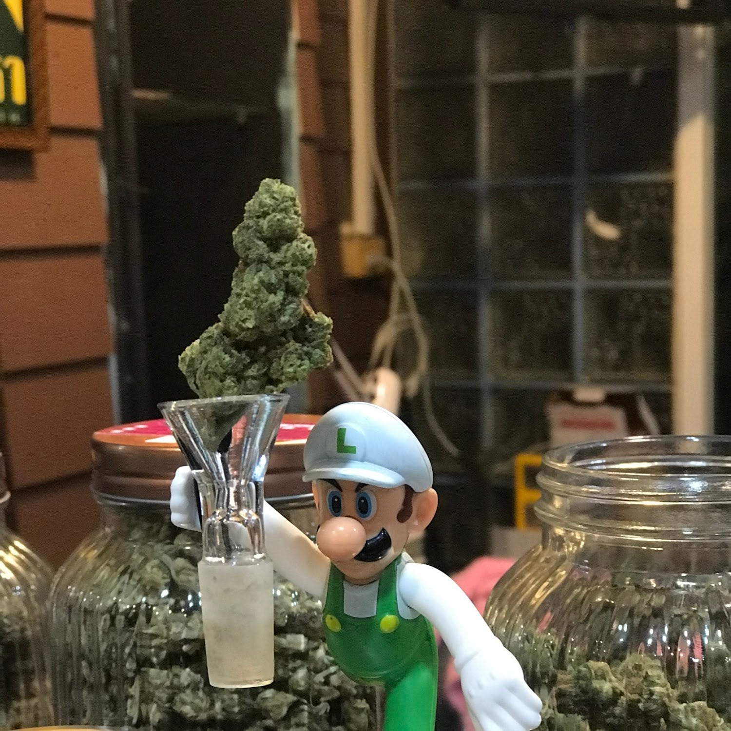 Cannabis Rayong