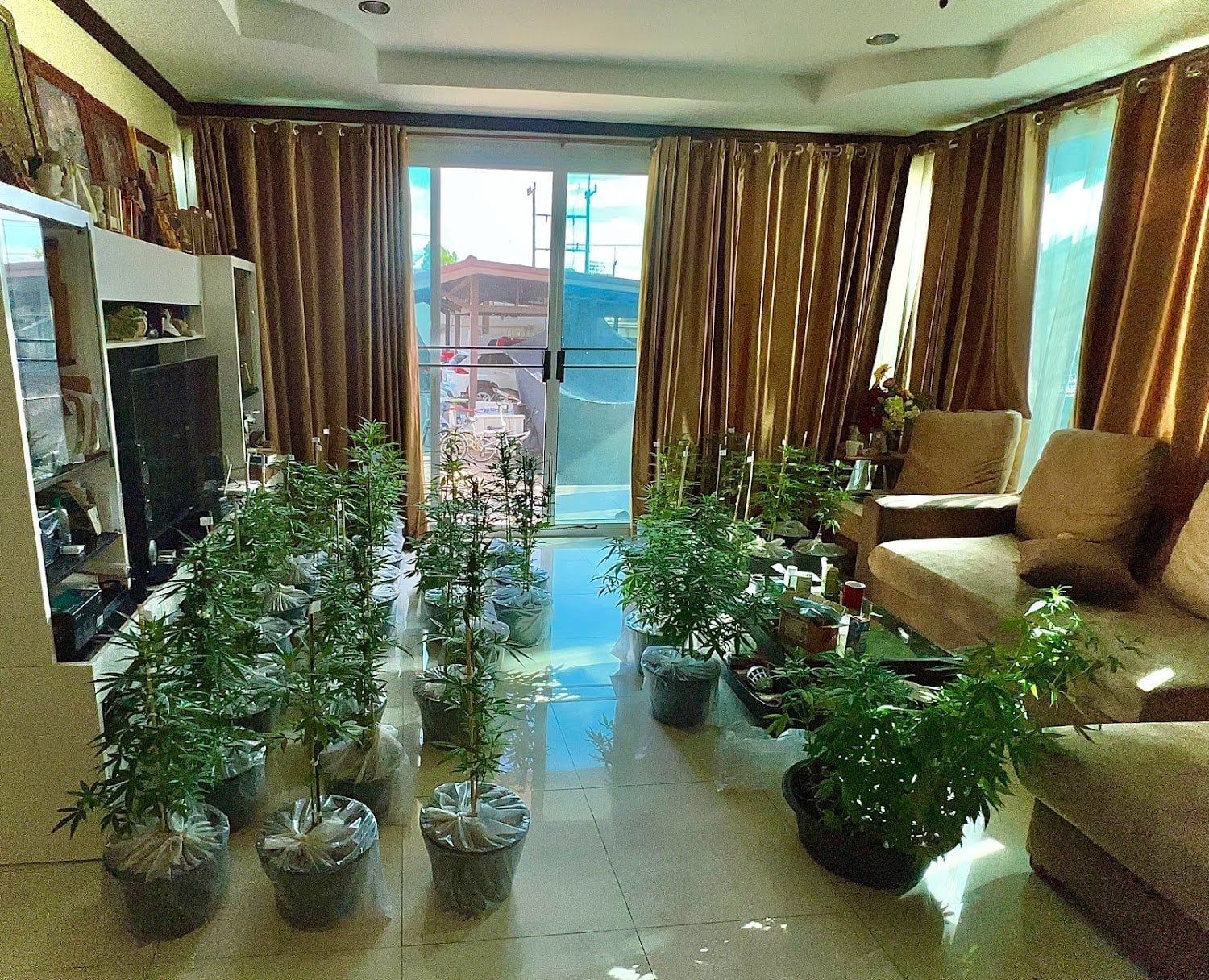 Ganjin420 )