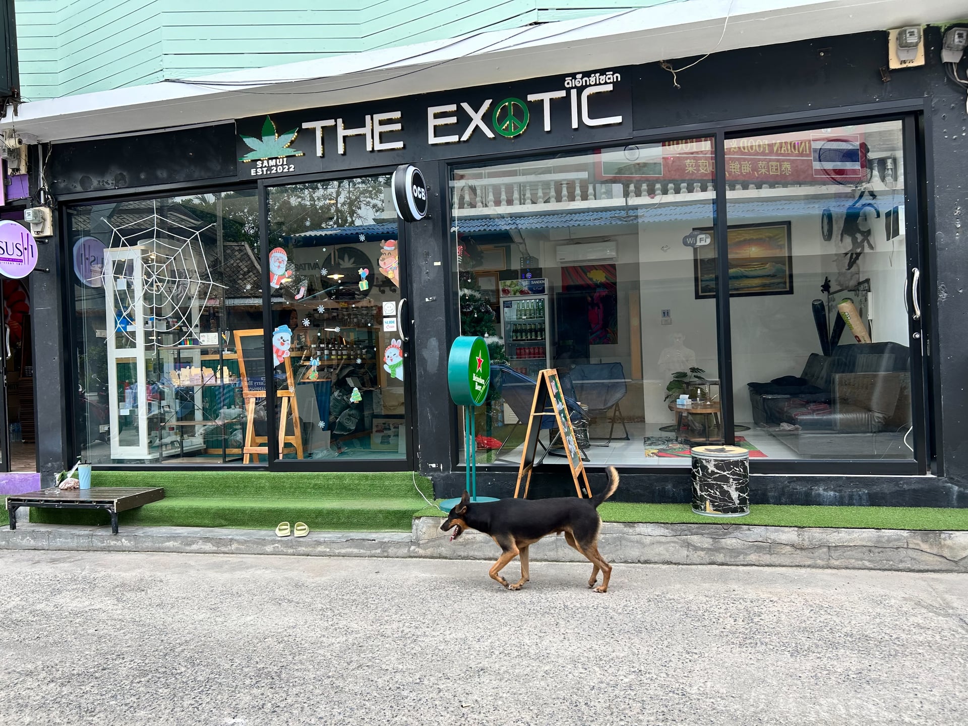 The Exotic Cannabis