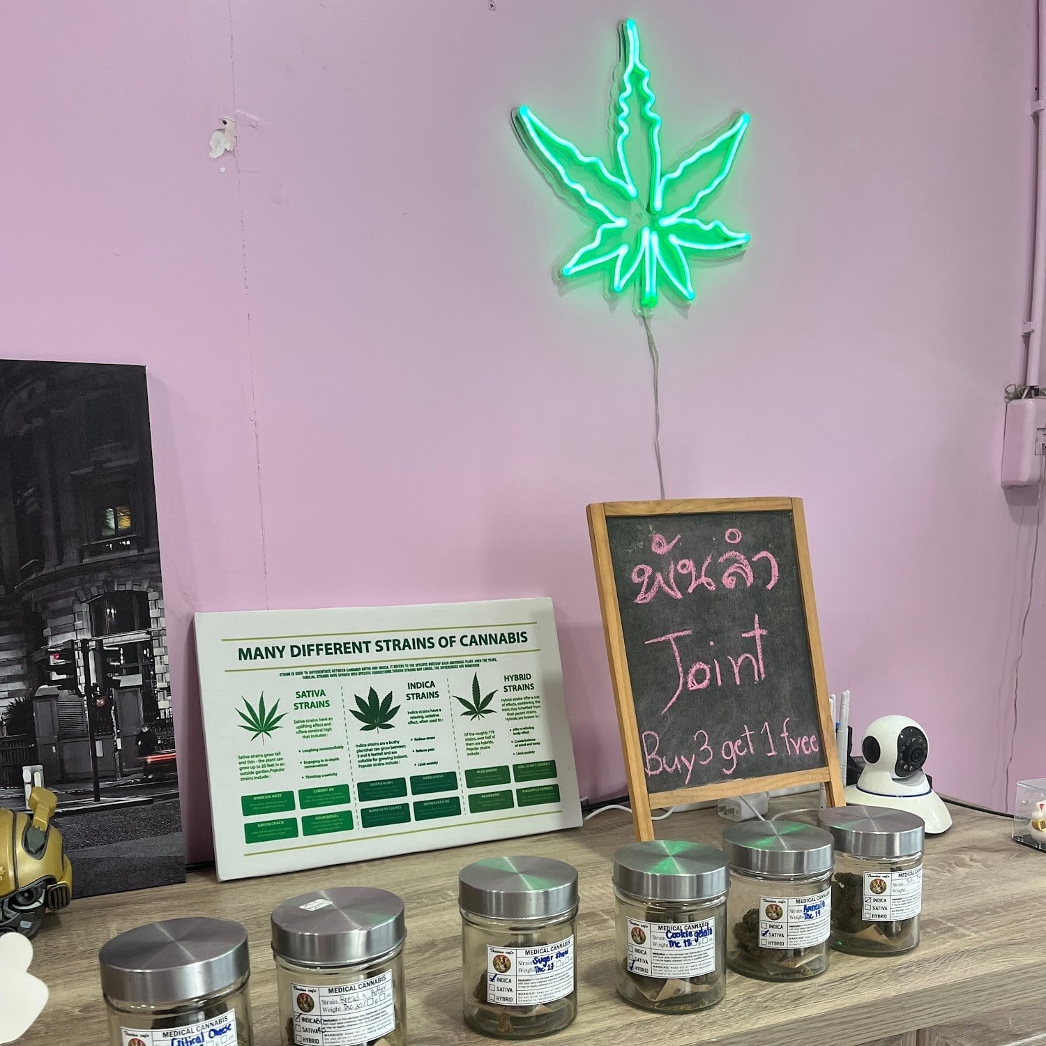 Critical Weed