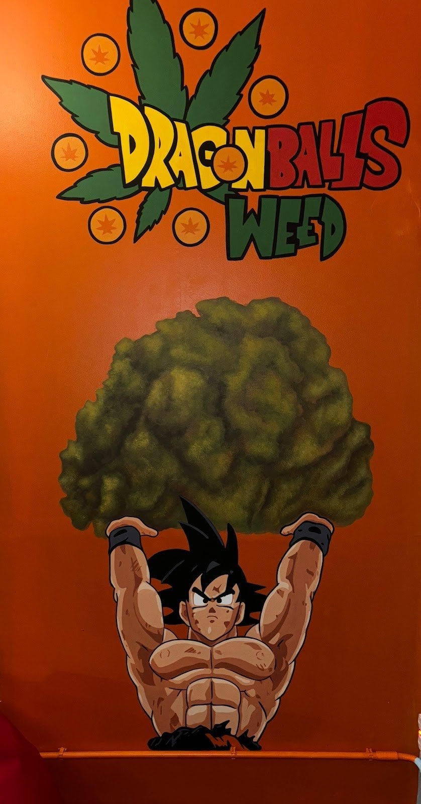 Dragon Ball Weed & Snus Phuket
