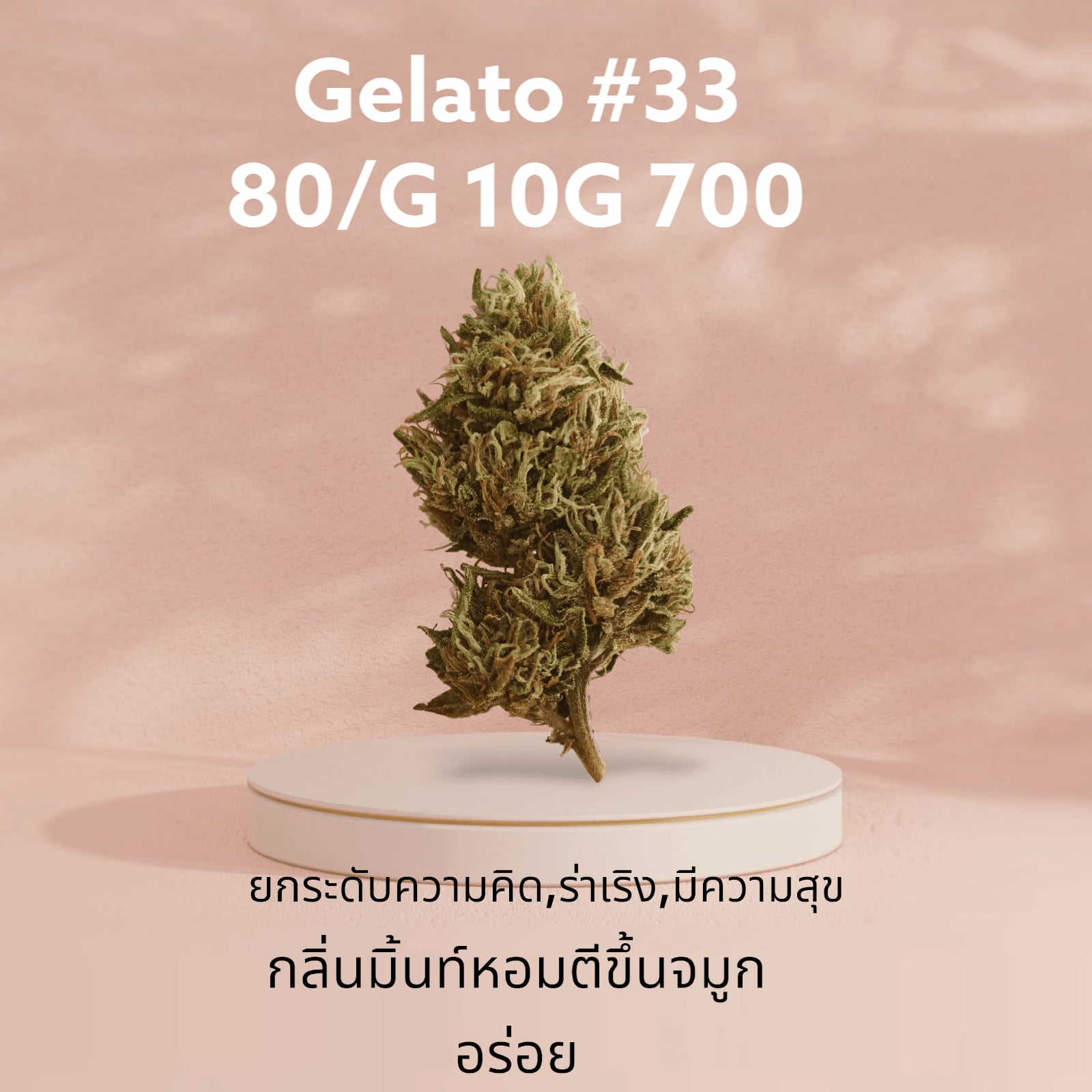 By Haze.Kk